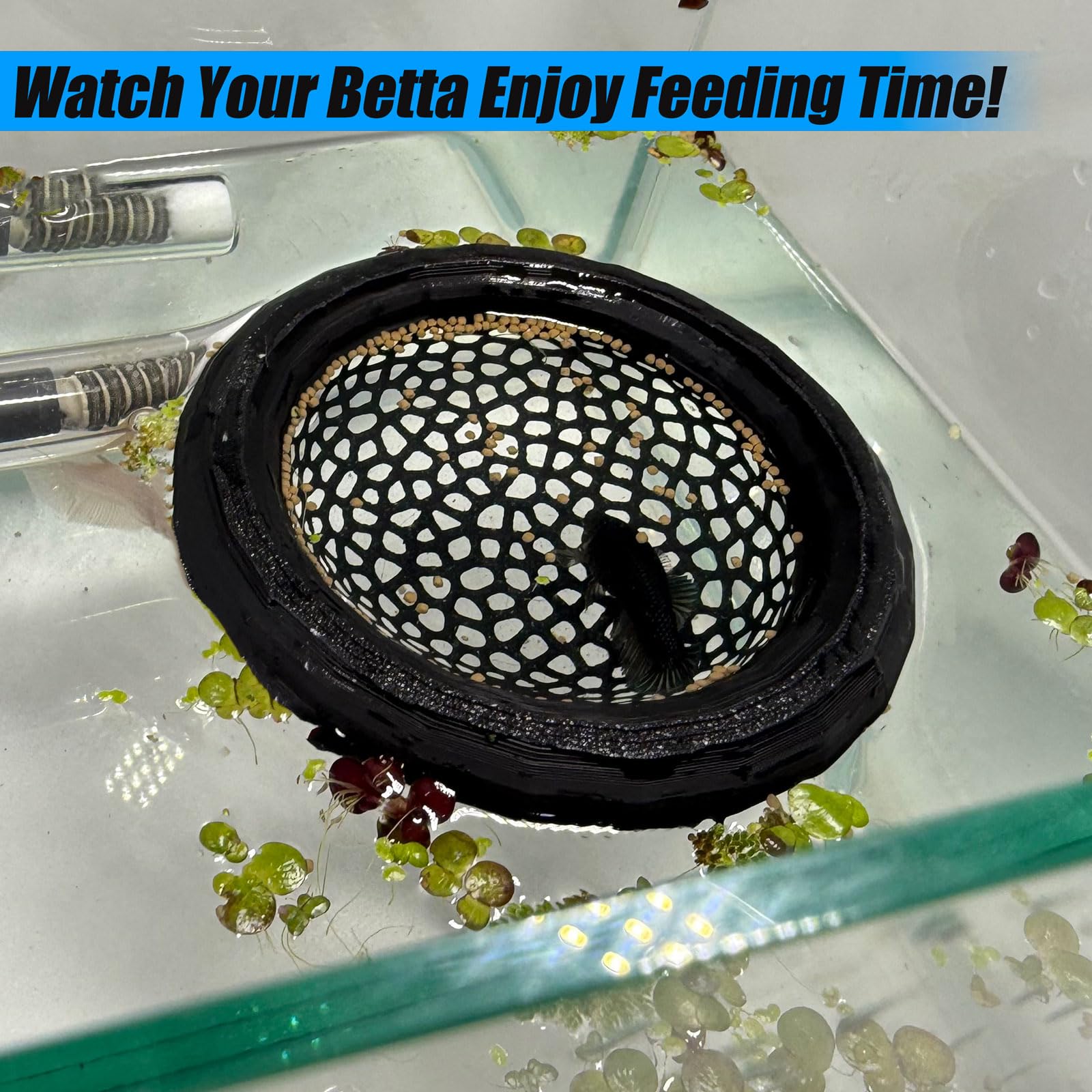 Aquarium Floating Betta Fish Skins, Betta or Shrimp Feeder, Cave and Hammock, Small Fish Feeding Rings, Aquarium Hiding Feeding