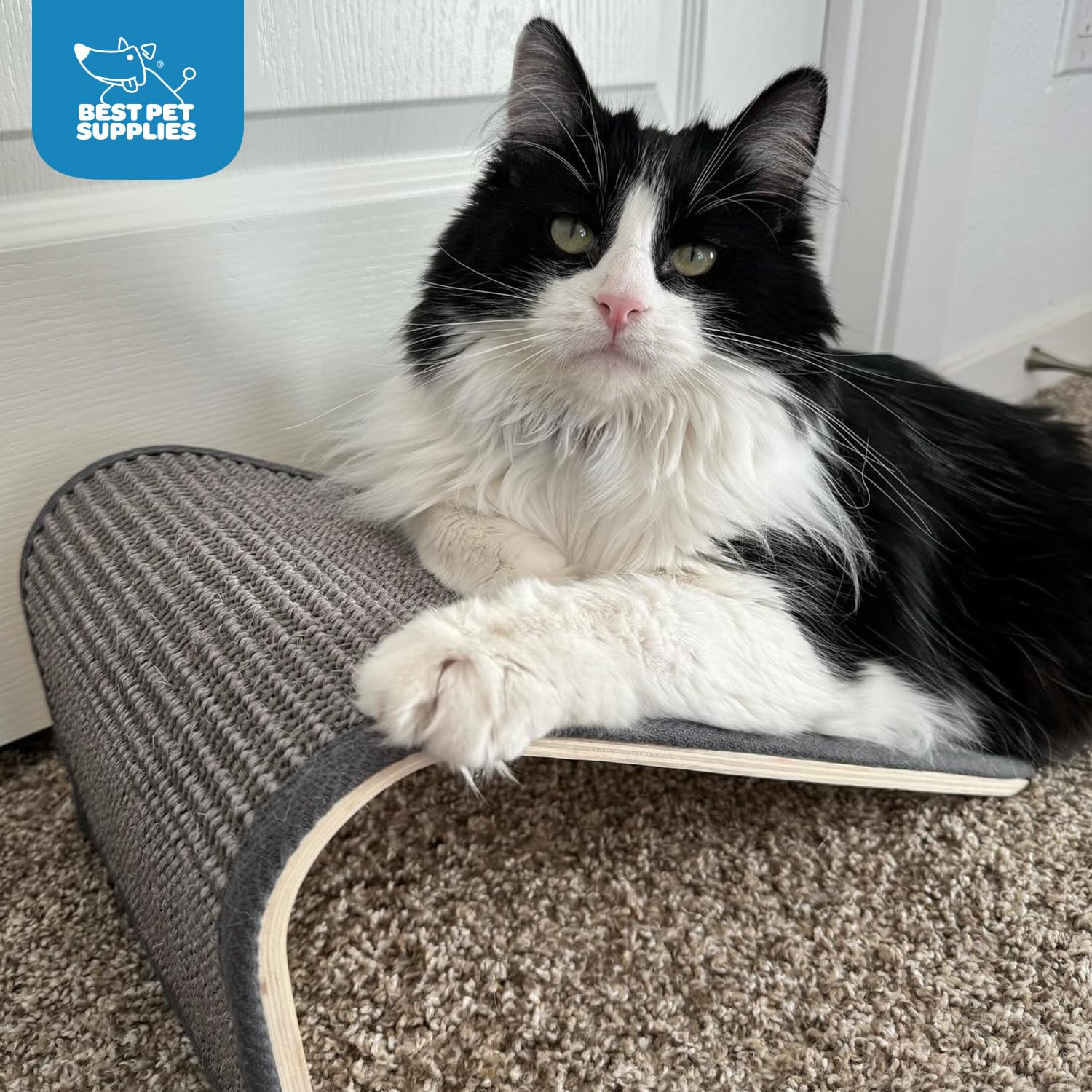 Best Pet Supplies Catify Sloped Sisal Cat Scratchers For Indoor Cats, Climbing Ramp Fun And Interactive Indoor Play, Supports Natural Pet Behaviors, Heavy Duty - Gray