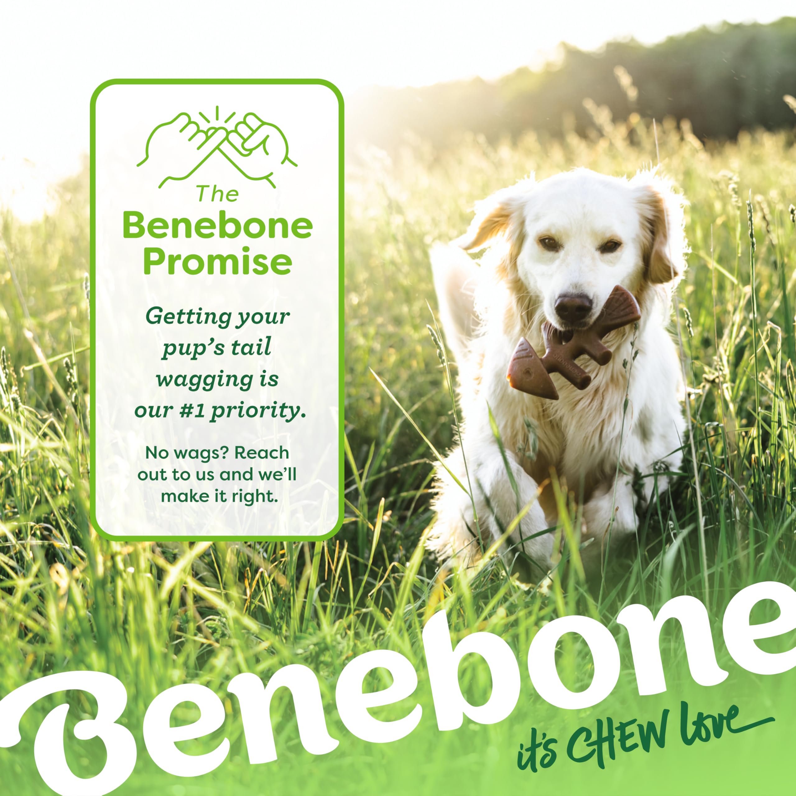 Benebone Set Of 1 Fishbone/Wishbone Durable Dog Chew Toys, Real Fish, Real Bacon, Made In Usa, Small