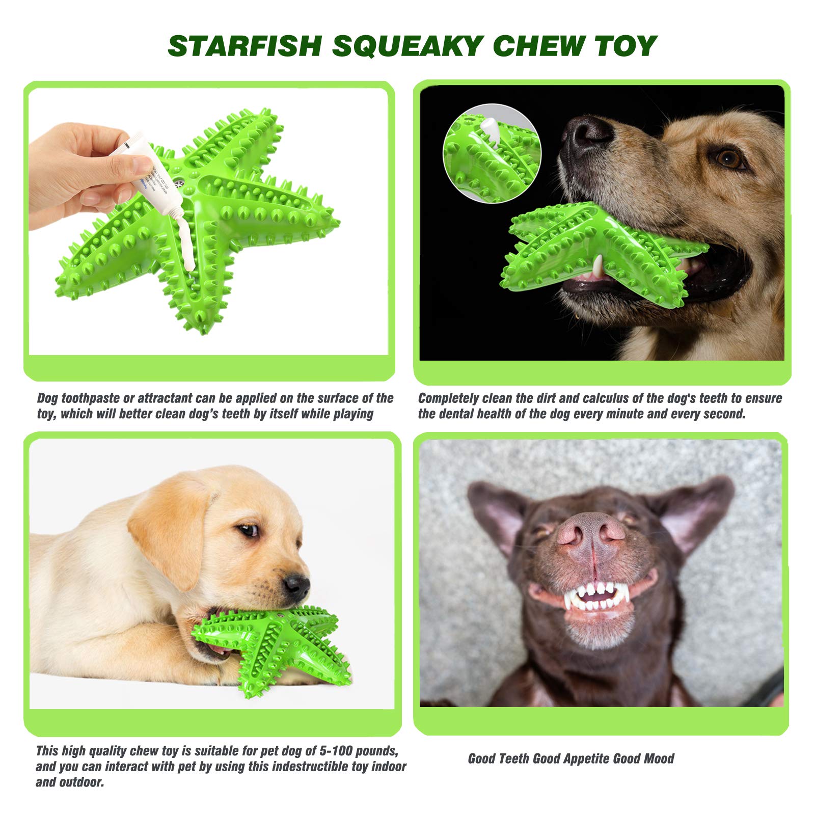 Idolpet Squeaky Dog Toys - Starfish Natural Teeth Cleaning Toy For Small & Medium Dogs (Green)