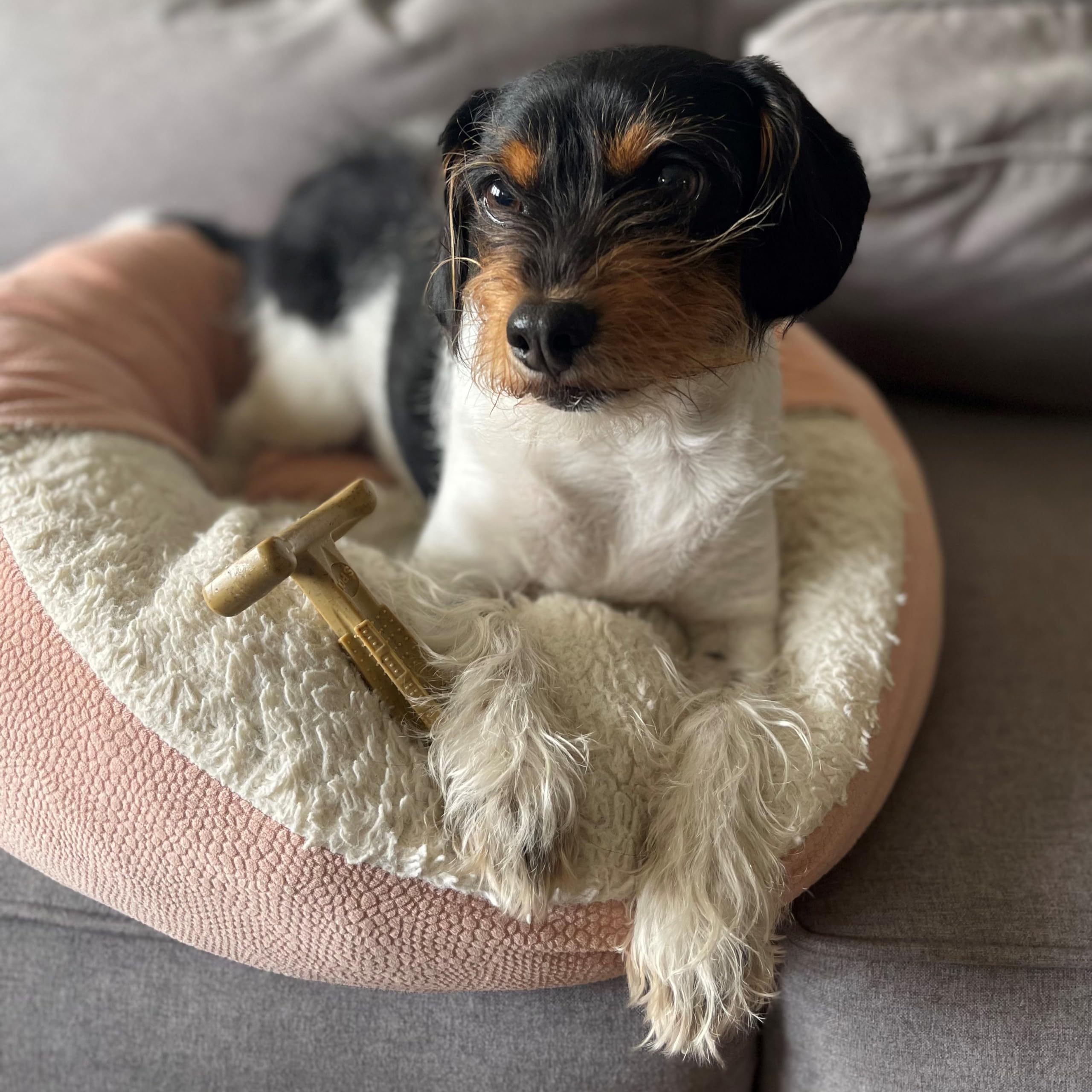 Spot By Ethical Products - Bambone Plus - Easy Grip Durable Dog Chew Toy For Aggressive Chewers - Great Dog Chew Toy For Puppies