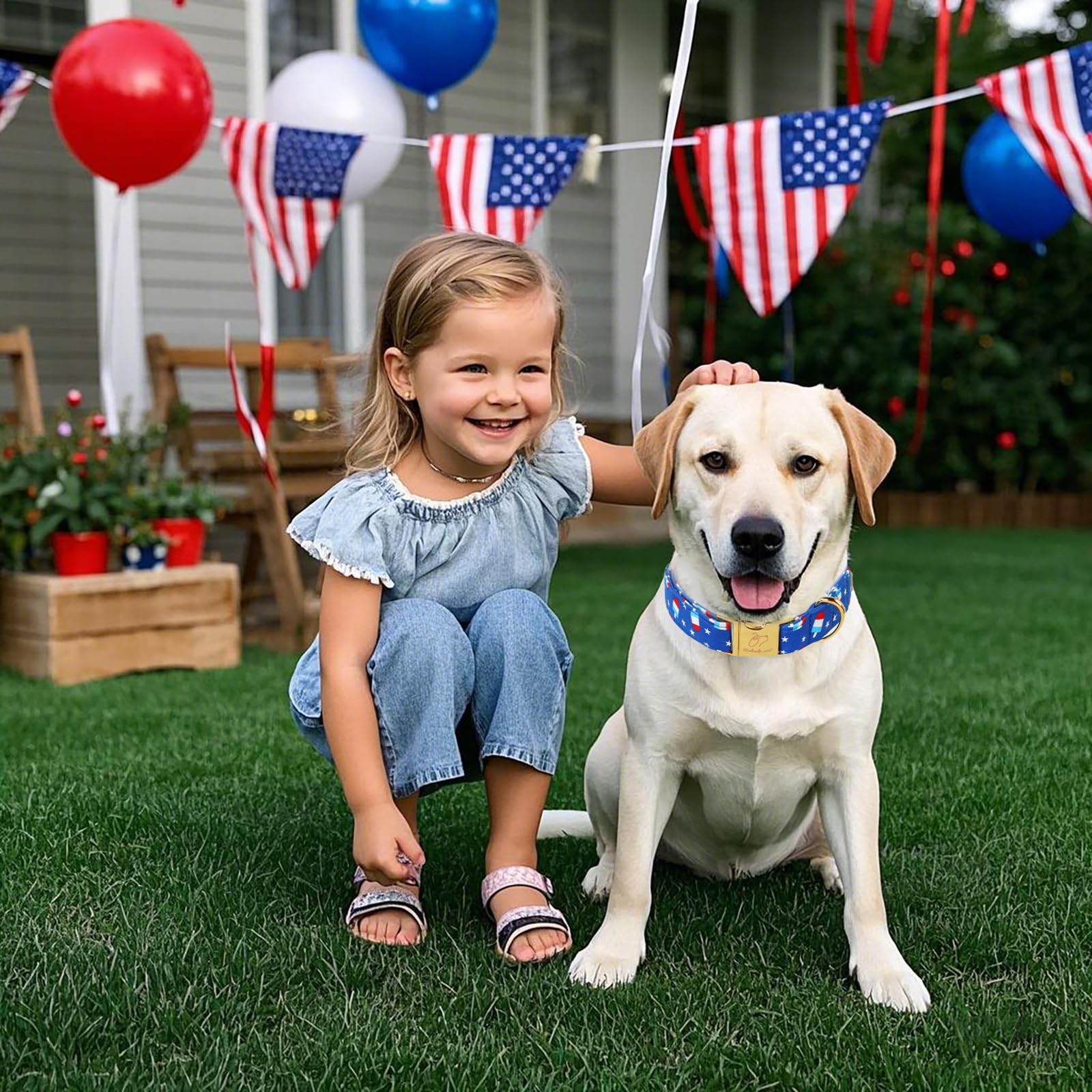 Babole Pet 4Th Of July Dog Collar, Blue Flag Popsicle Patriotic Pet Collar With Metal Buckel, Adjustable Summer Holiday Dog Coll