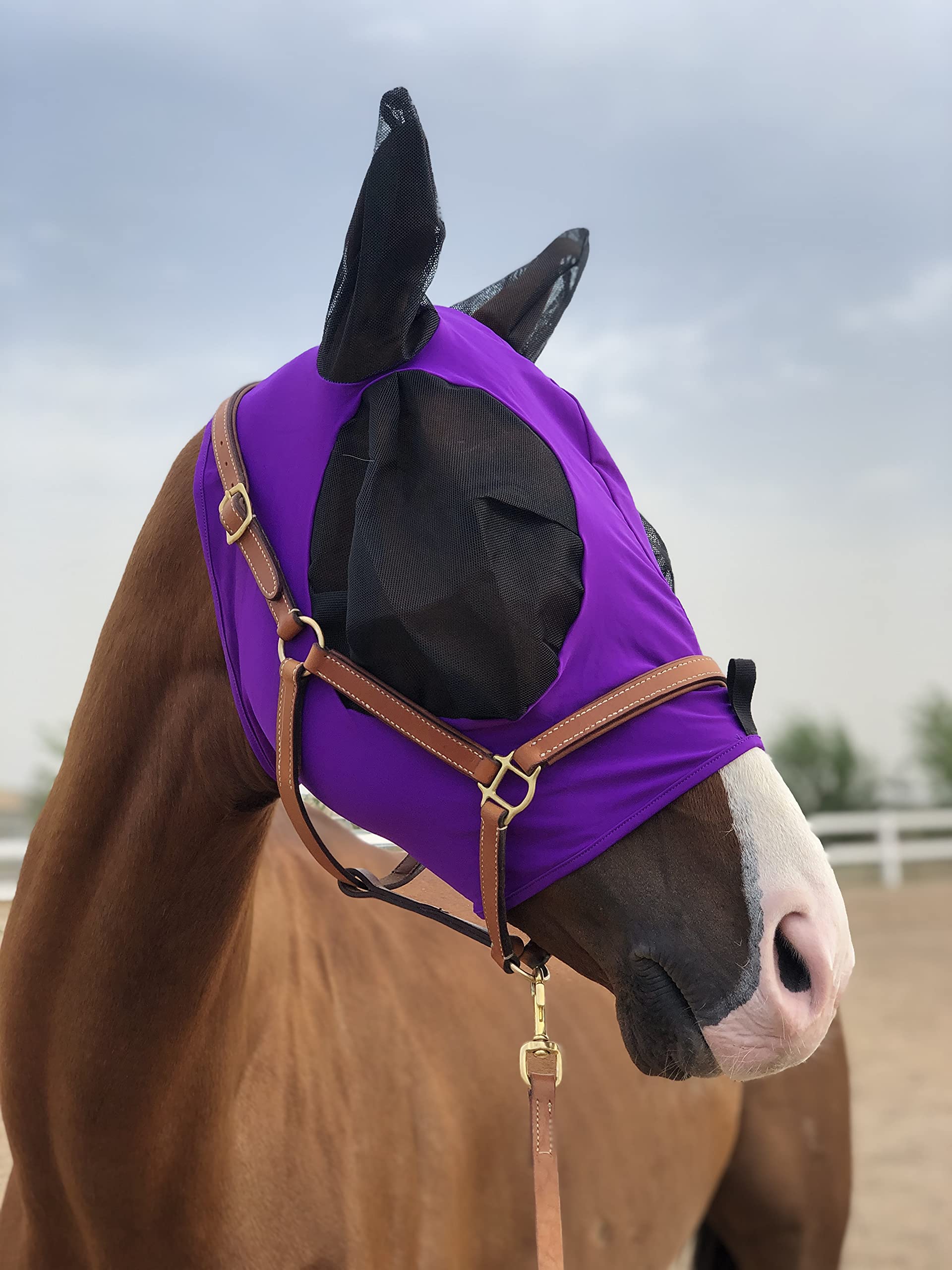 Horse Fly Mask Super Comfort Horse Fly Mask Elasticity Fly Mask with Ears We Only Make Products That Horses Like (Dk Purple, M)