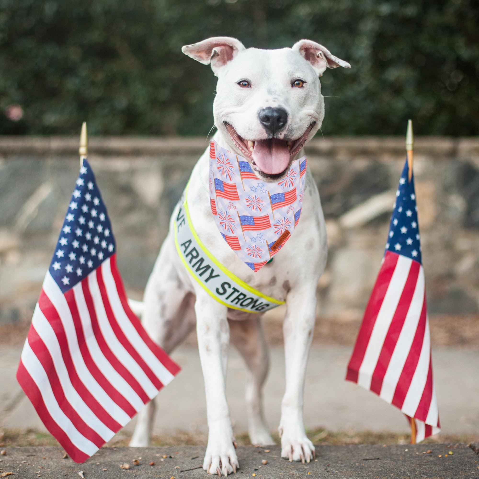 Adoggygo American Flag Dog Bandanas 2 Pack, Triangle Reversible Independence Day Pet Scarf Bib, Red Blue 4Th Of July Bandana For