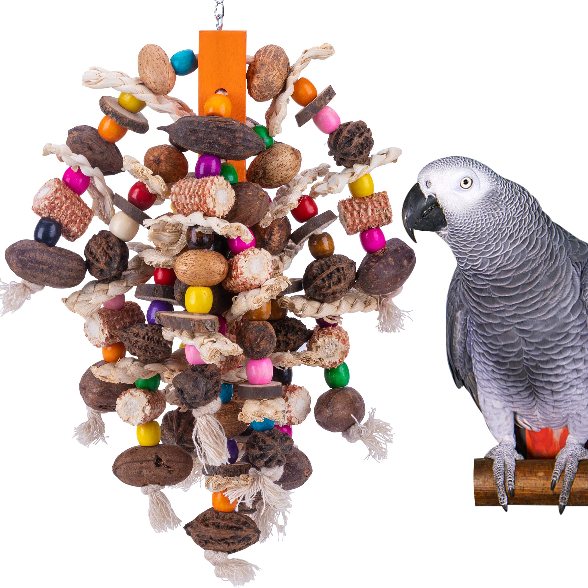 Deloky Large Parrot Bird Chewing Toys-Natural Nuts Corn Parrot Tearing Toy-Wooden Bird Cage Toy For African Grey,Macaws Cokatoos,Amazon Parrots And Other Large Birds