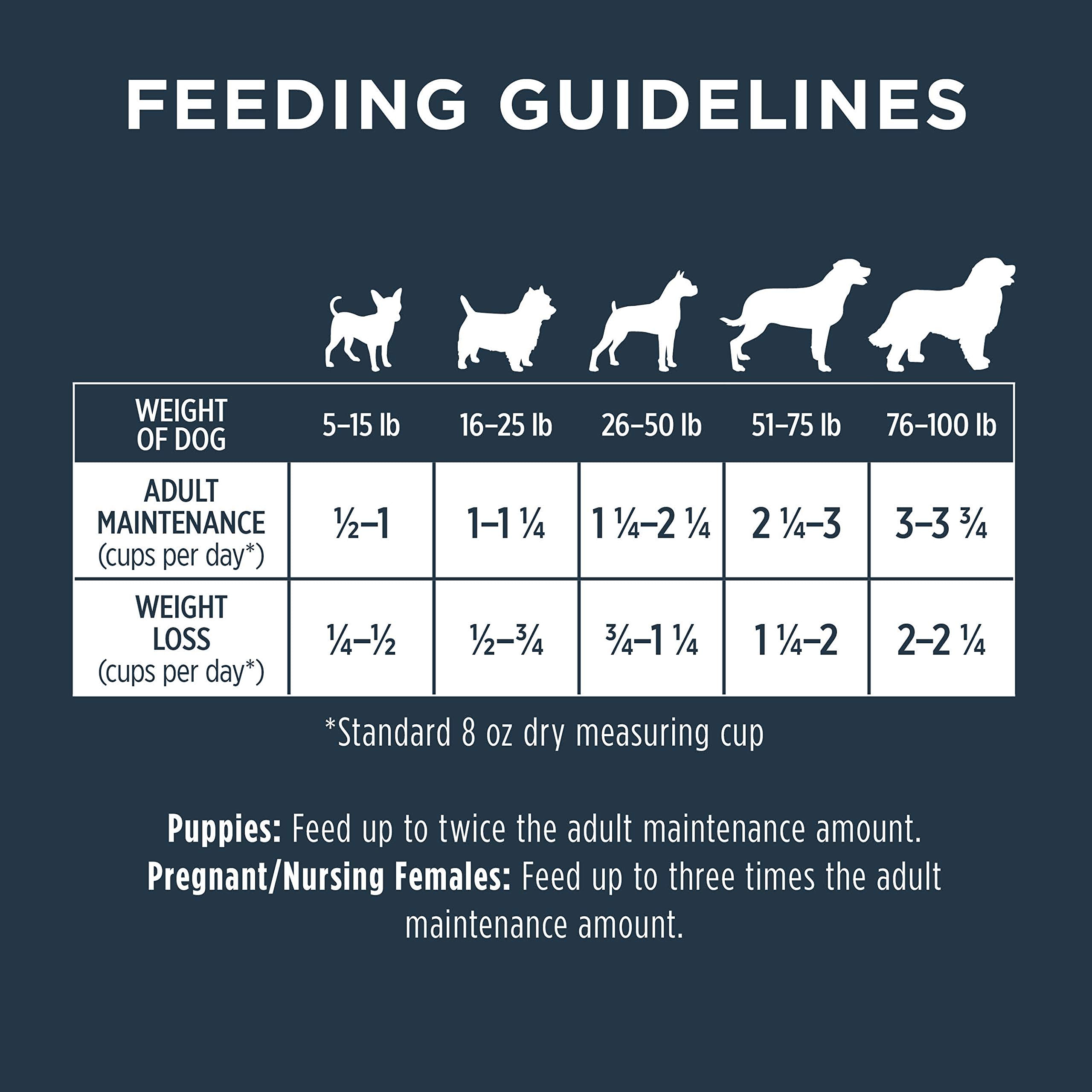 Instinct Raw Boost Grain Free Recipe with Real Salmon Natural Dry Dog Food by Natures Variety, 19 lb. Bag