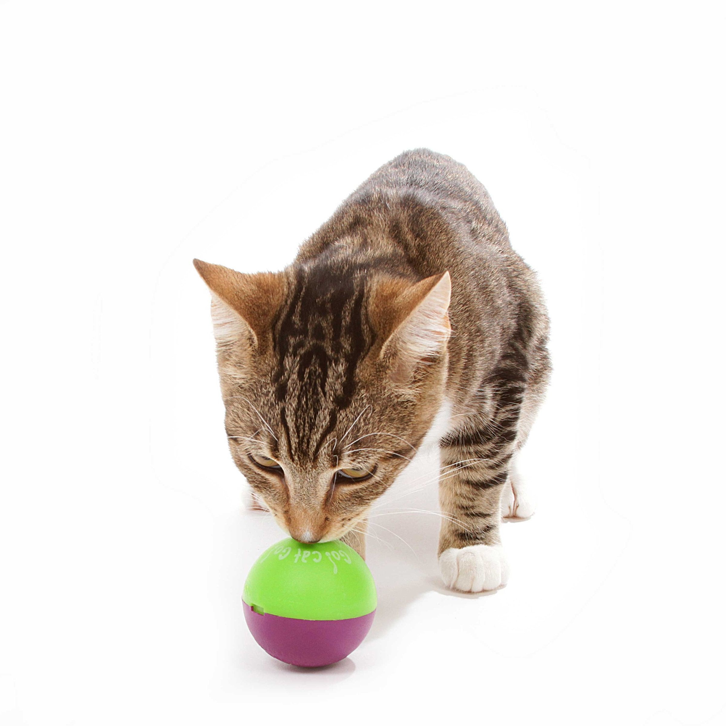 OurPets PlayNTreat Twin Pack Cat Toy,All Breed Sizes