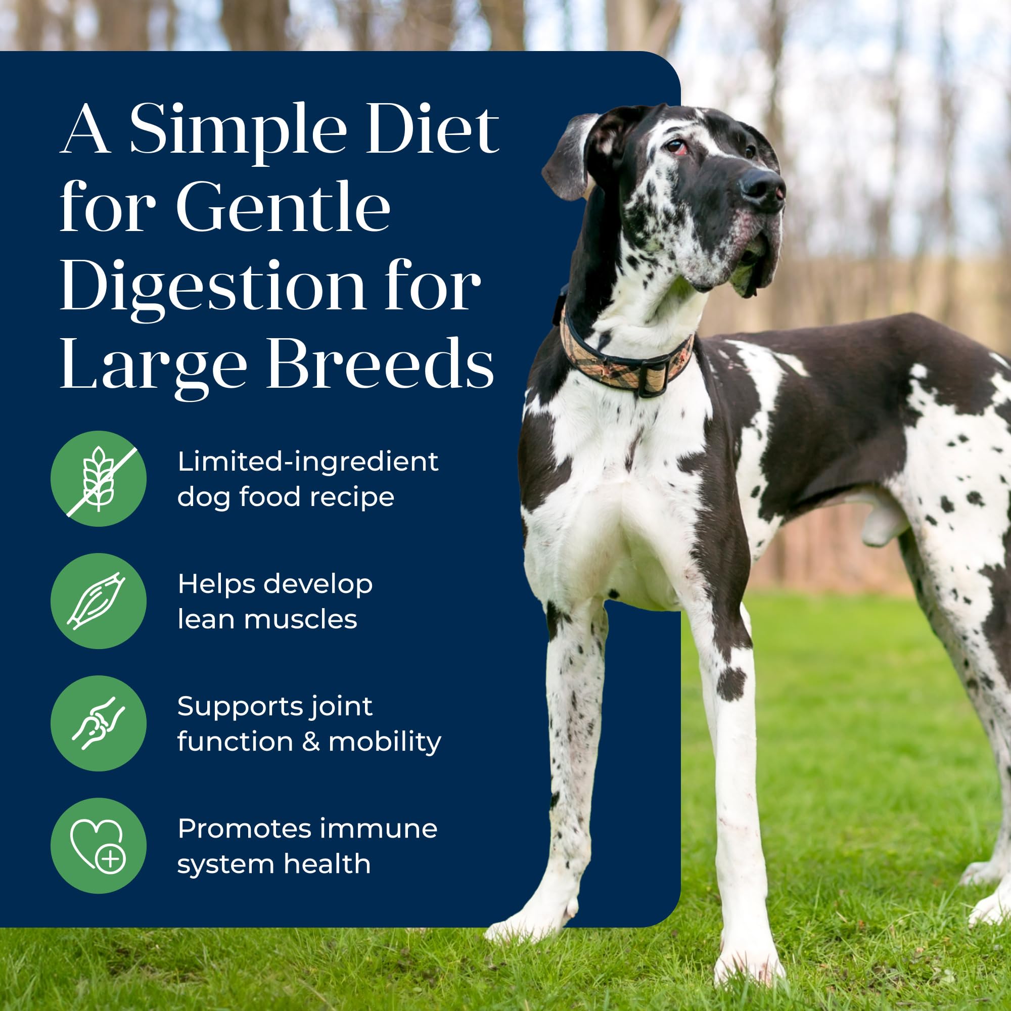 Blue Buffalo Basics Adult Large Breed Grain-Free Dry Dog Food for Skin & Stomach Care, Limited Ingredient Diet, Made in the USA