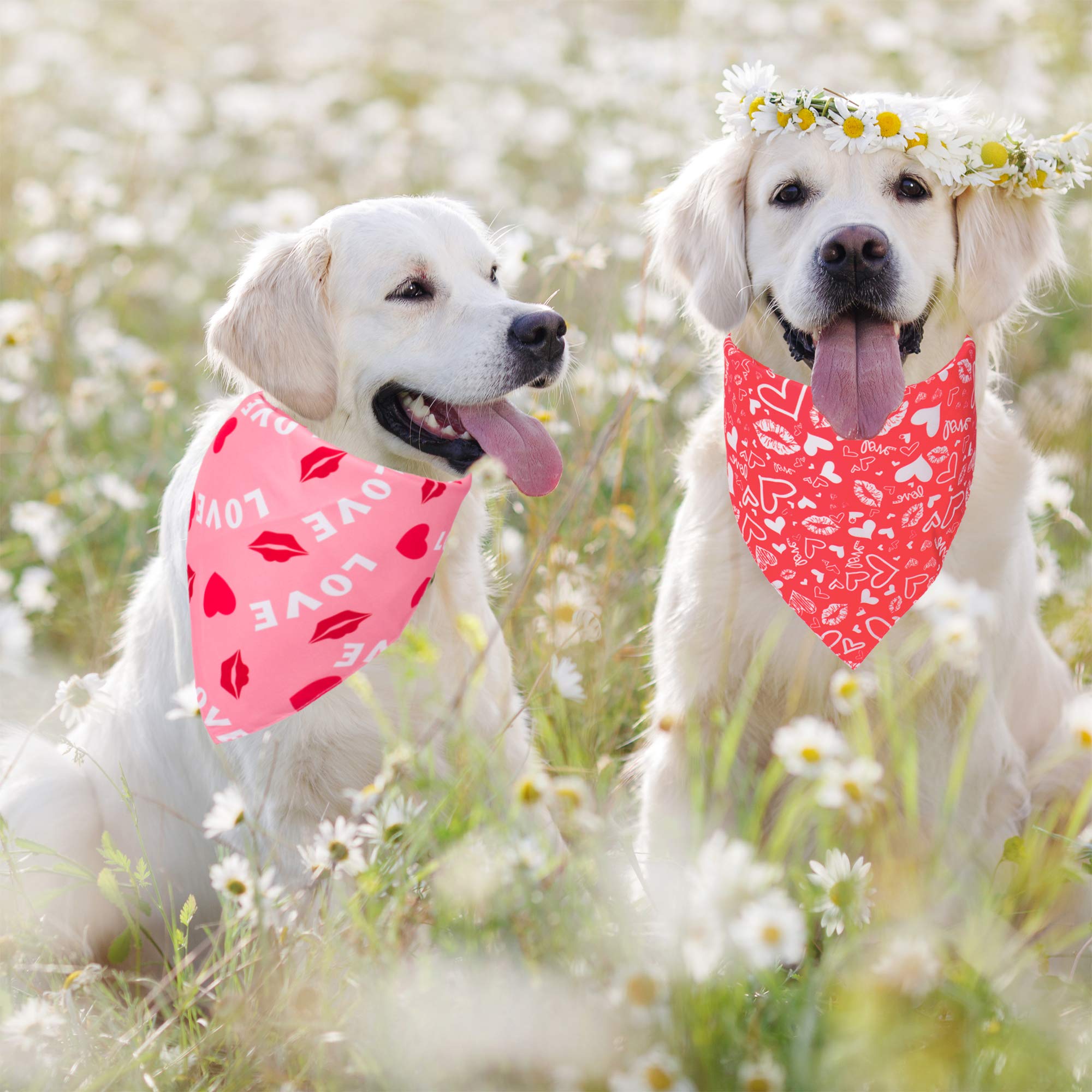 ADOGGYGO Valentine Dog Bandana, Multiple Sizes Offered, Reversible Triangle Dog Scarf Pet Bandana for Large X-Large Dogs (X-Larg