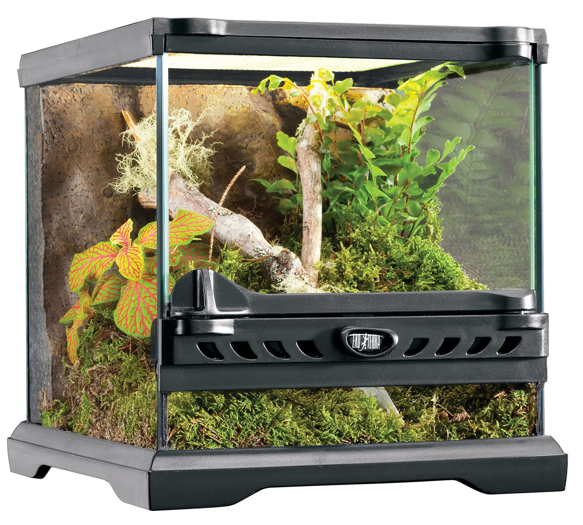 Exo Terra glass Terrarium Kit, for Reptiles and Amphibians, Nano, 8 x 8 x 8 inches, PT2599A1