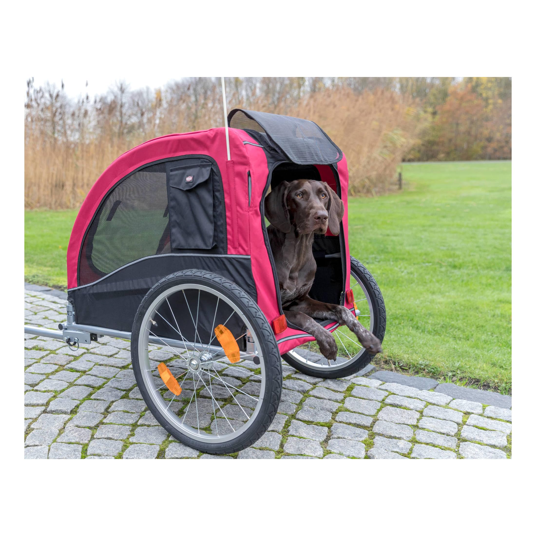 Trixie Convertible Dog Bike Trailer And Pet Stroller For Medium Dogs Up To 66 Lbs, Quick Set-Up And Fold Down, Red