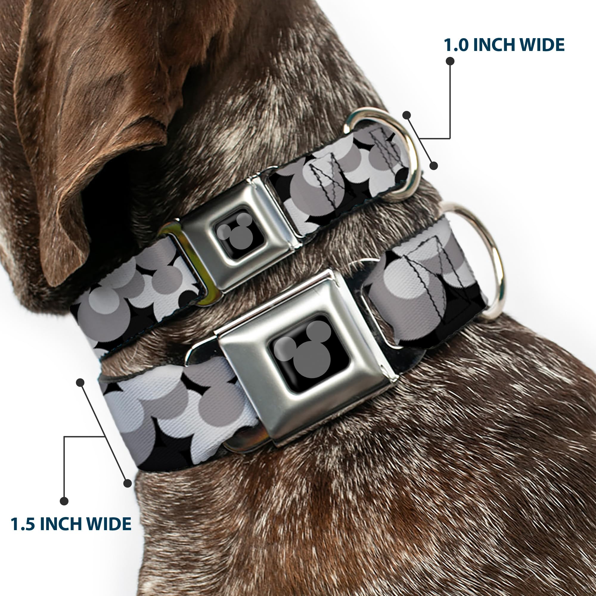 Dog Collar Seatbelt Buckle Mickey Mouse Head Stacked Black Grays 16 To 23 Inches 1.5 Inch Wide, Dc-Wdy349-Wm