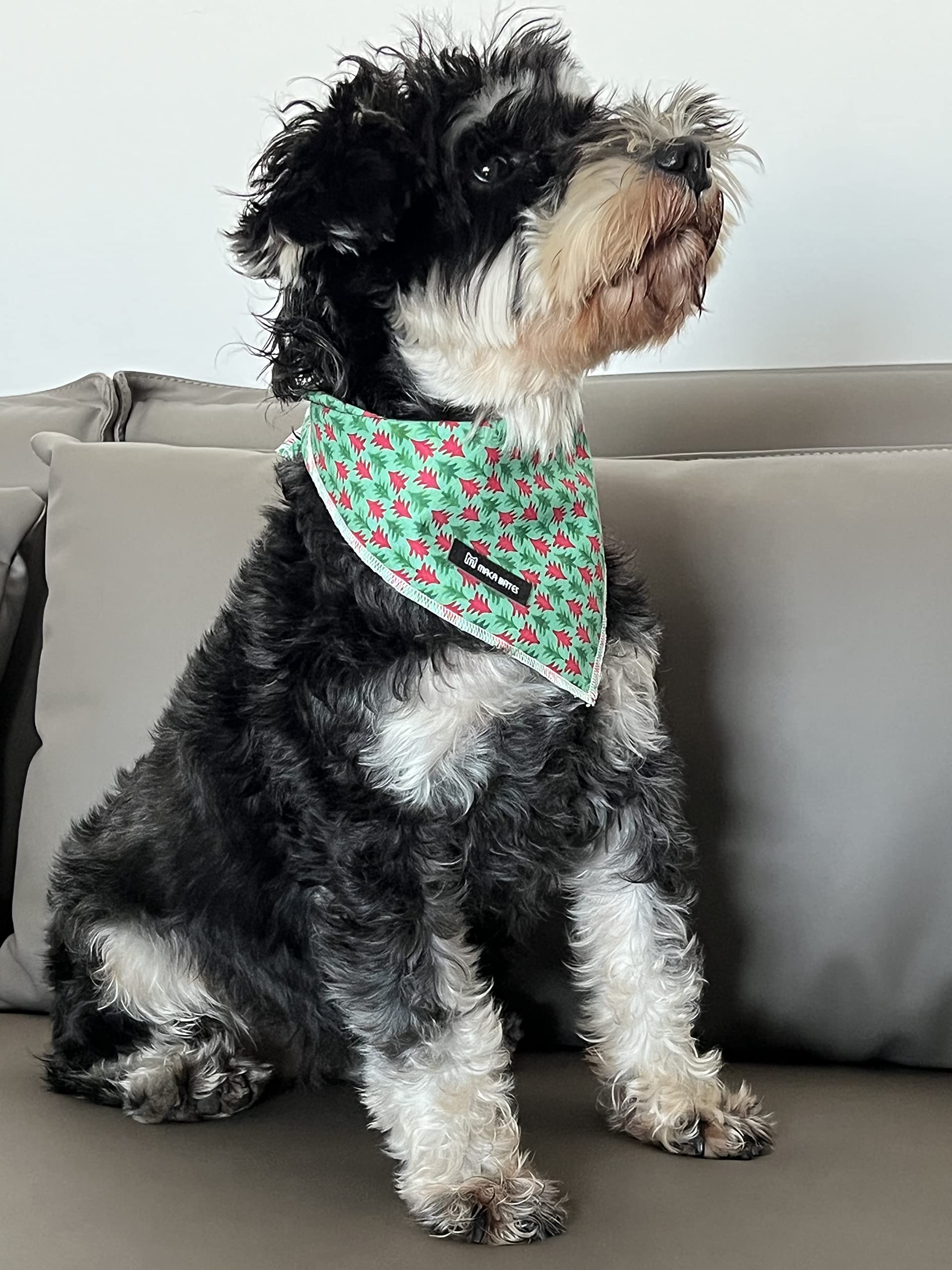 Maca Bates Christmas Dog Collar With Bow Tie & Flower Tie, Dog Bandana For Small Medium Large Dogs,Elk Christmas Tree Winter Dog