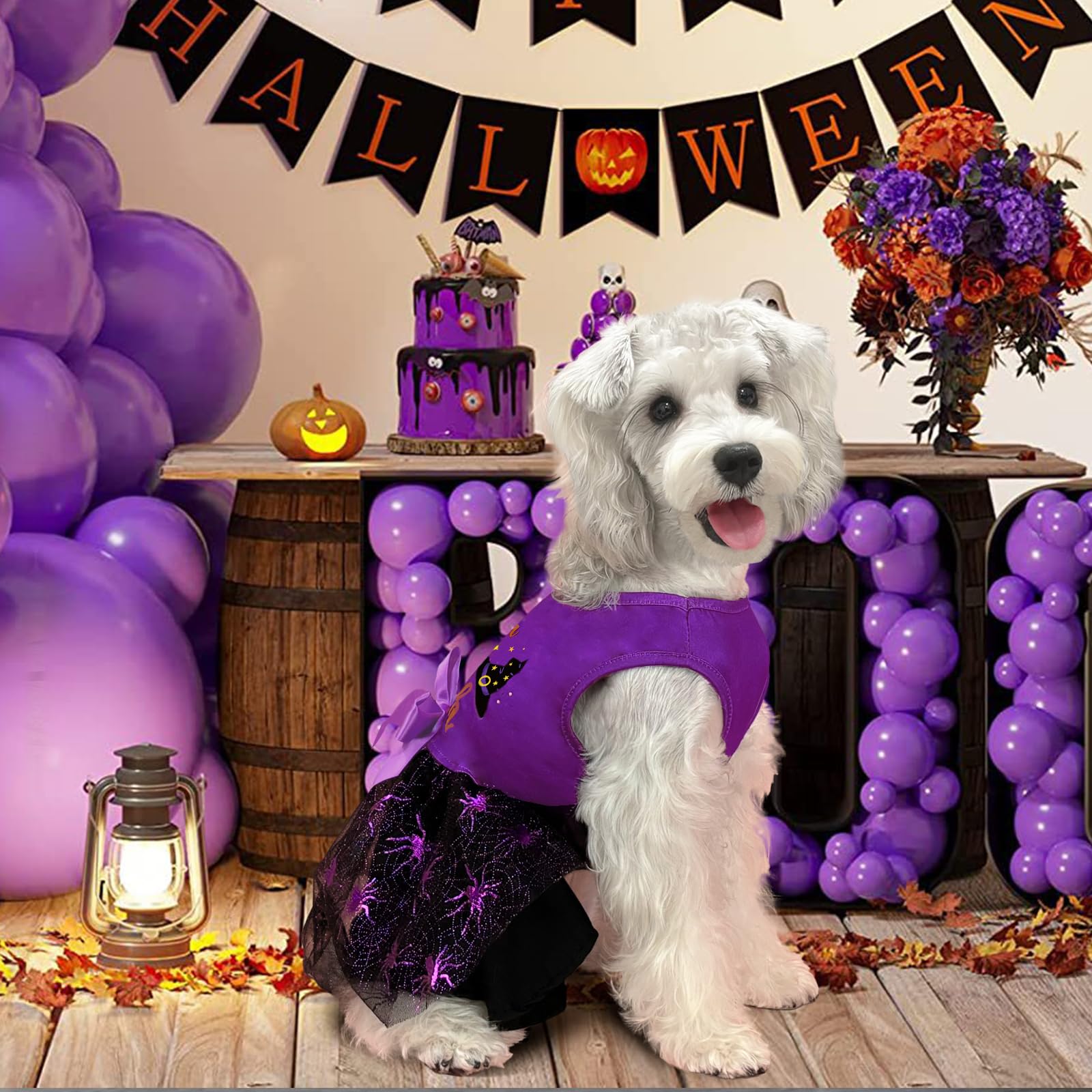 Xpudac Halloween Dog Dress Witch Tulle Dress Holiday Dog Clothes For Small Dogs Girl, Spider Pet Costume Cat Apparel, Purple-Xs