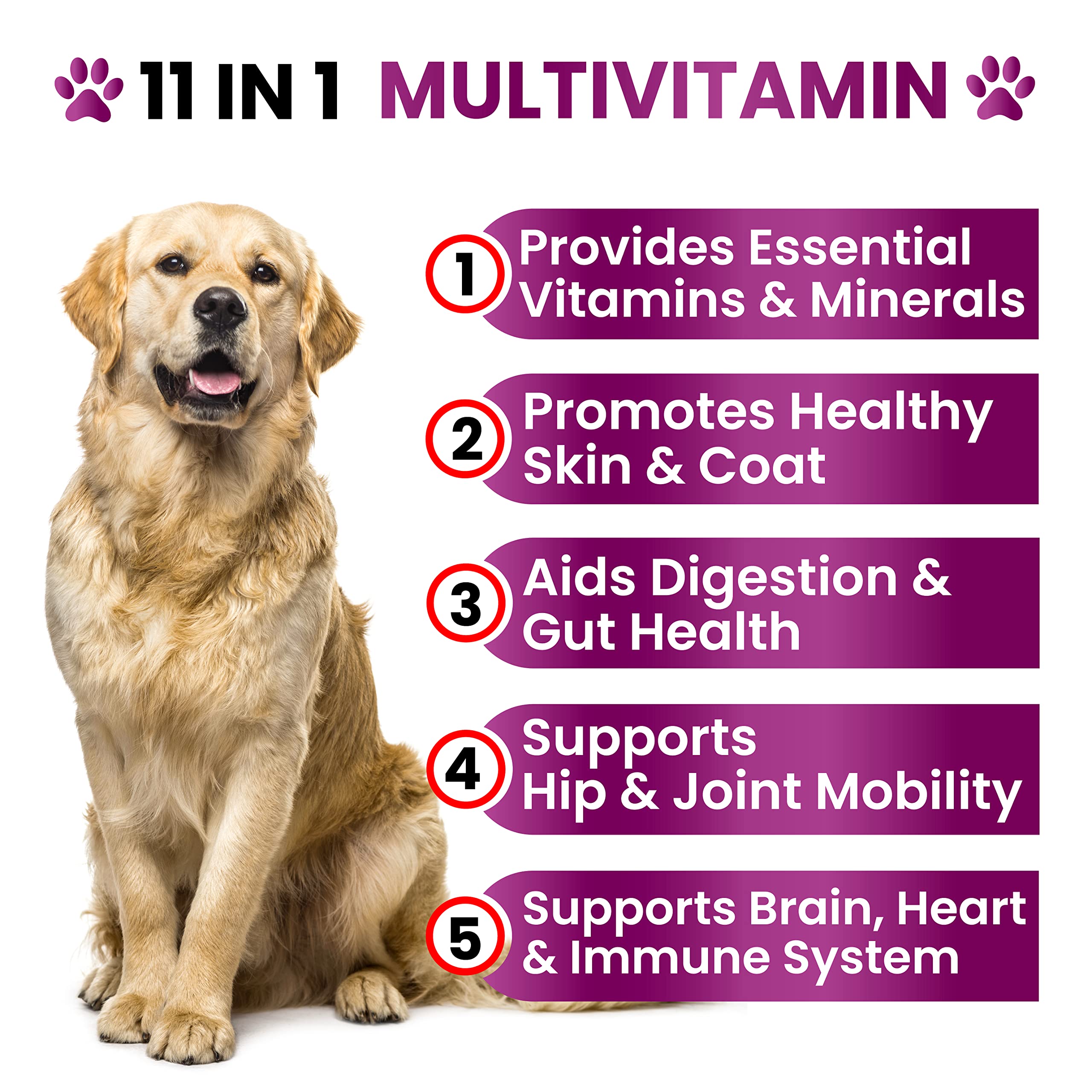 Dog Multivitamin Chewable with Glucosamine - Dog Vitamins and Supplements, Senior & Puppy Multivitamin for Dogs - Pet Chondroiti