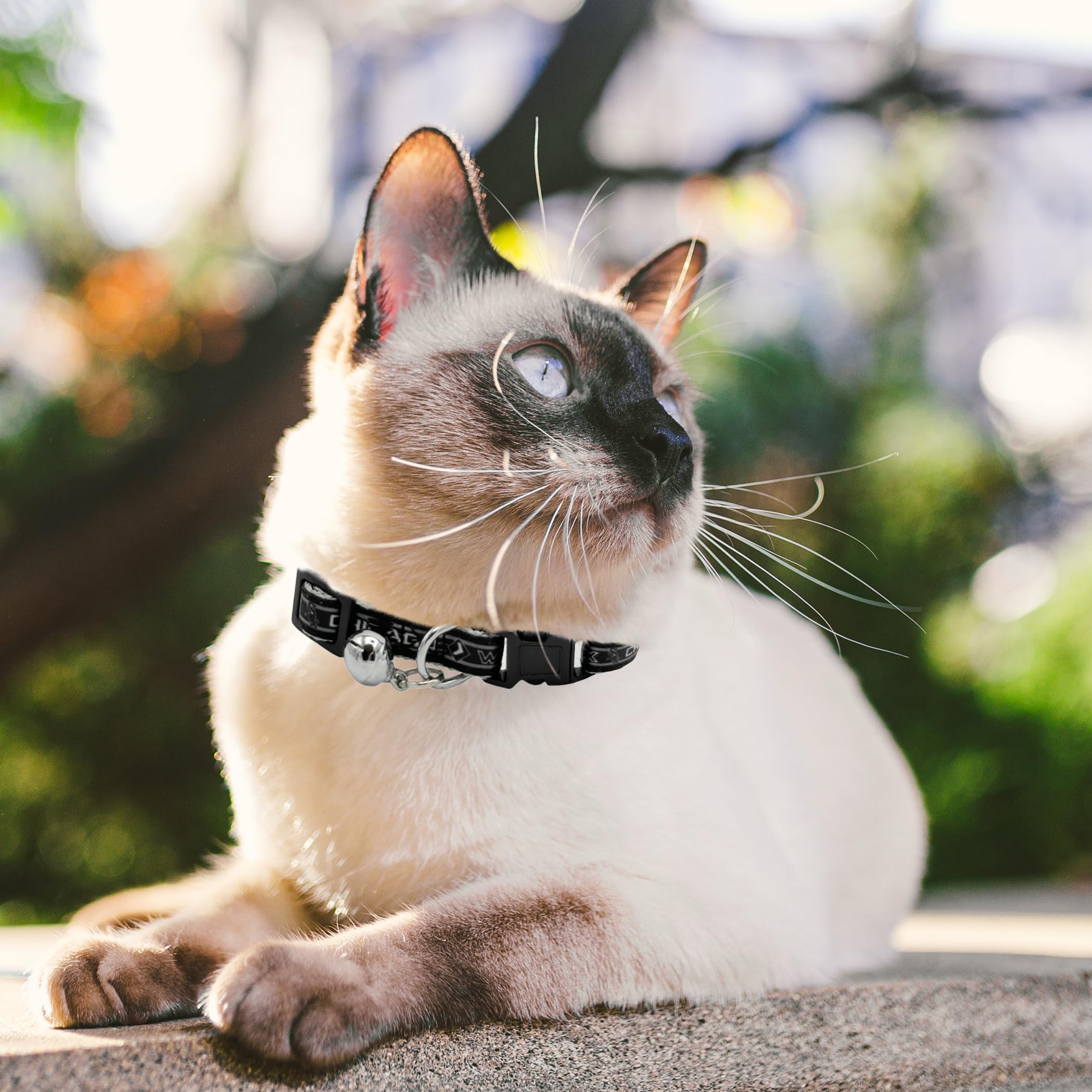 Mlb Cat Collar Chicago White Sox Satin Cat Collar Baseball Team Collar For Dogs & Cats. A Shiny & Colorful Cat Collar With Ringi