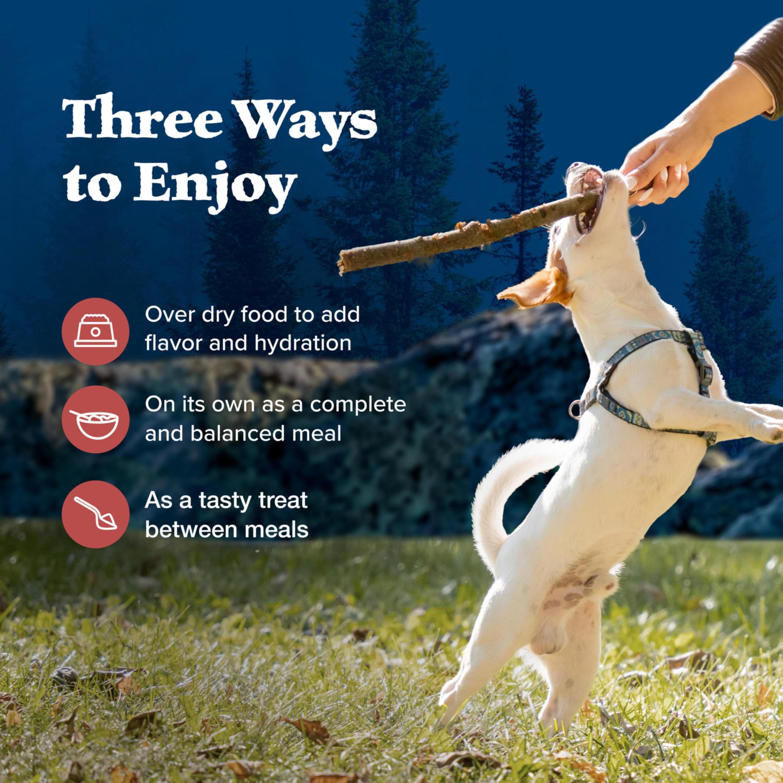 Blue Buffalo Wilderness Adult Wet Dog Food, High-Protein and Grain-Free, Made with Natural Ingredients, Rocky Mountain Recipe Re