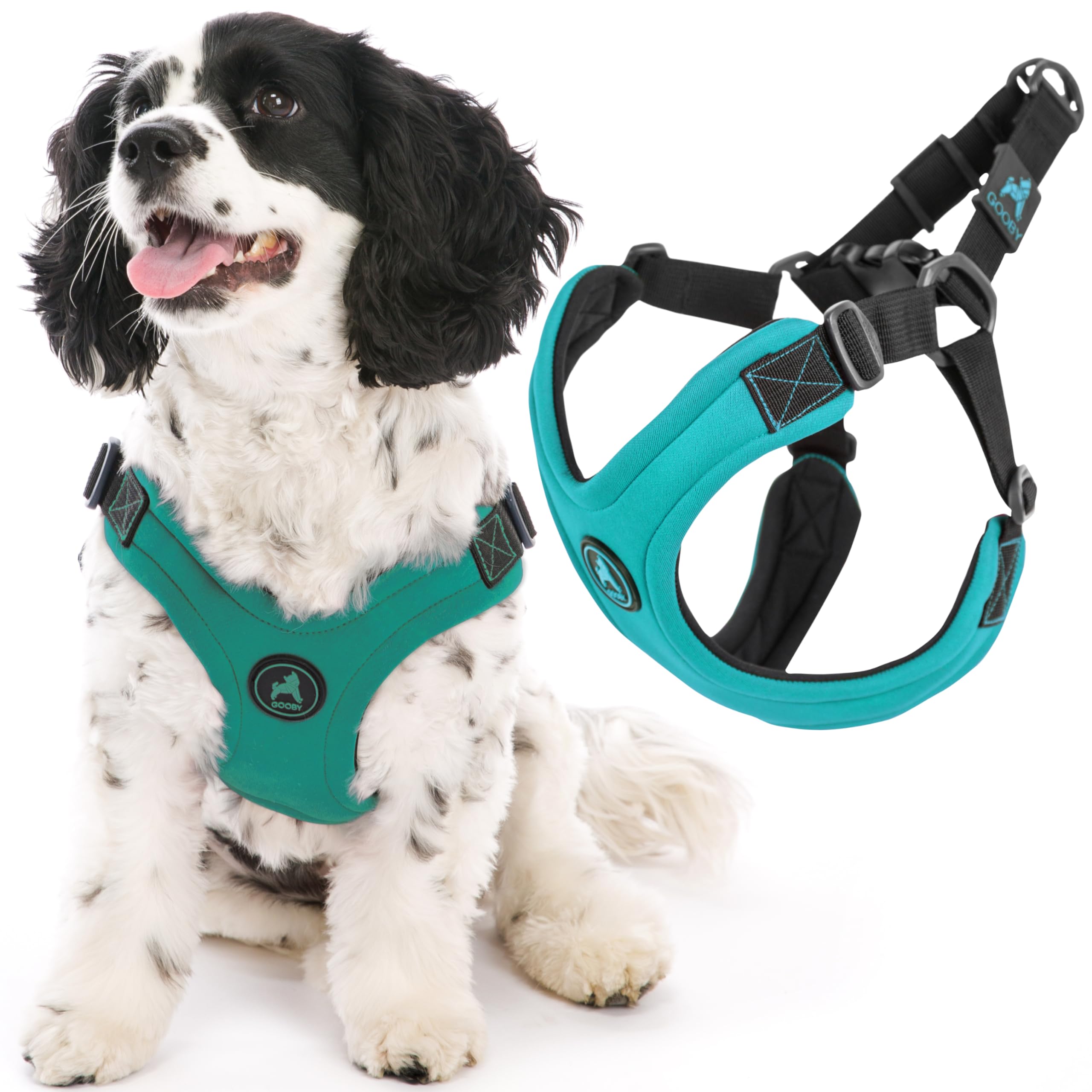 Gooby Escape Free Sport Harness - Turquoise, Medium - No Choke Step-In Patented Neoprene Small Dog Harness, Four-Point Adjustmen