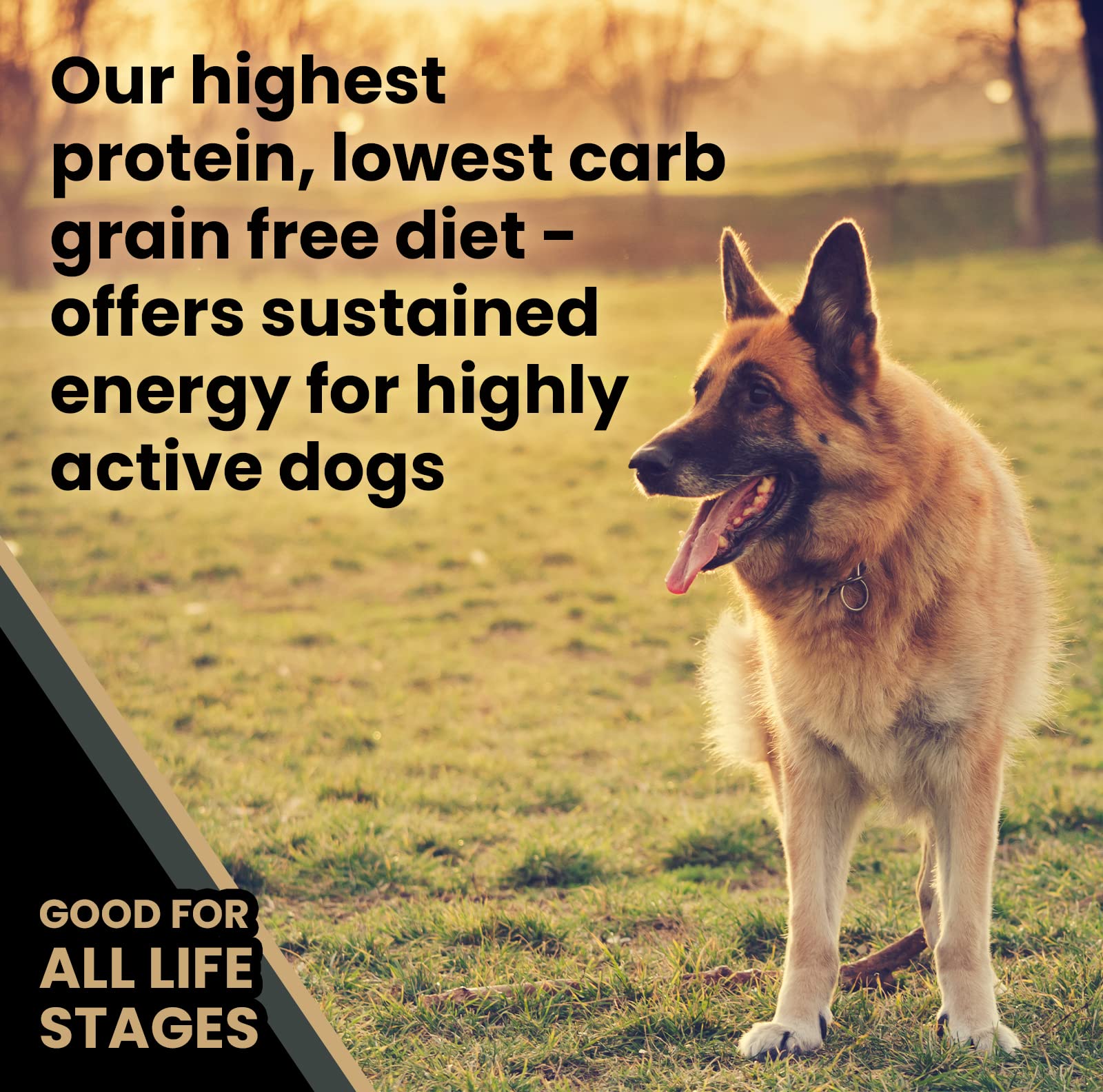 VICTOR Super Premium Dog Food - Grain Free Ultra Pro Dry Dog Food - High Protein, Low Carb Dog Food for Active Dogs - 42% Protei