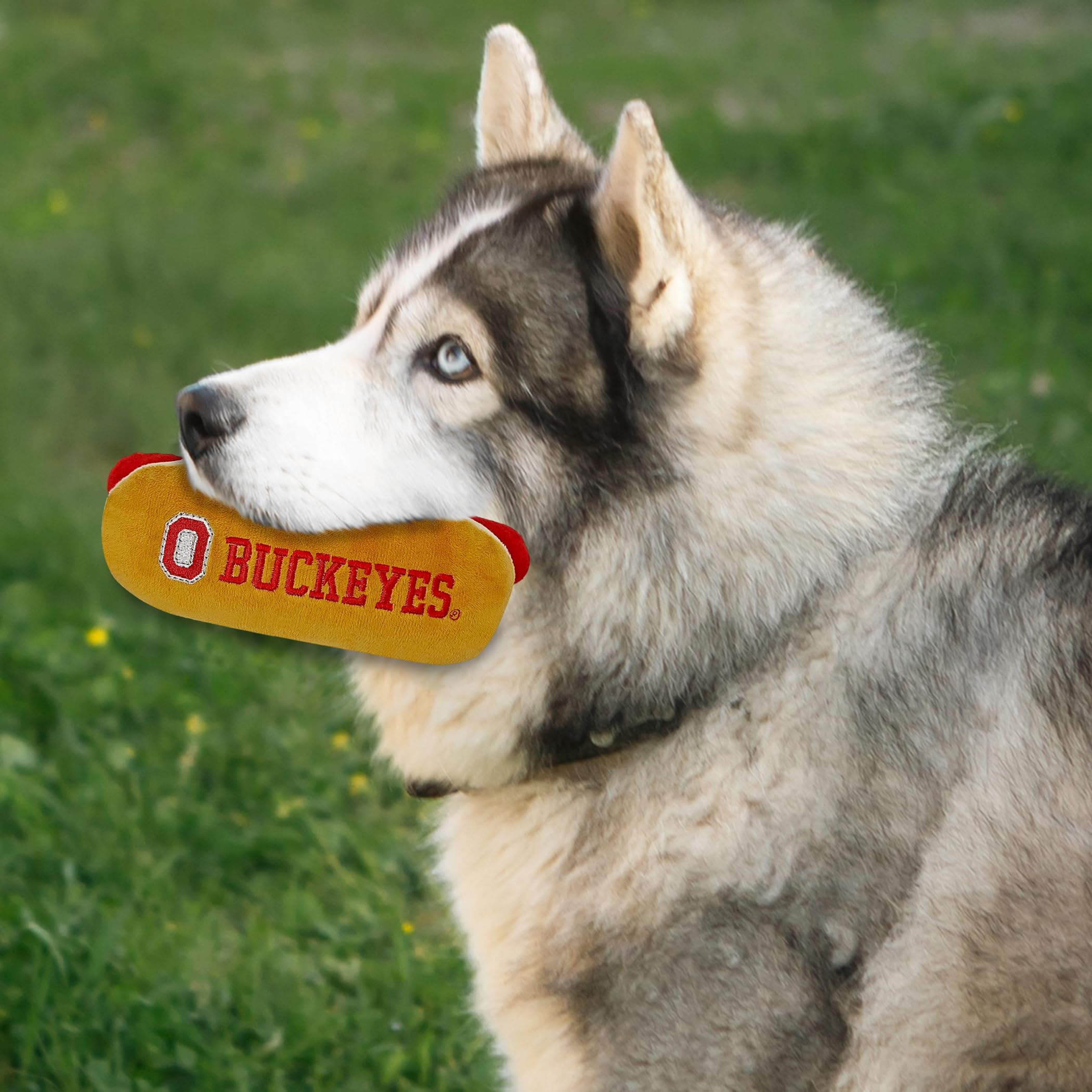 Pets First Ncaa Ohio State Buckeyes Hot Dog Plush Dog & Cat Squeak Toy- Cutest Hot-Dog Snack Plush Toy For Dogs & Cats With Inne