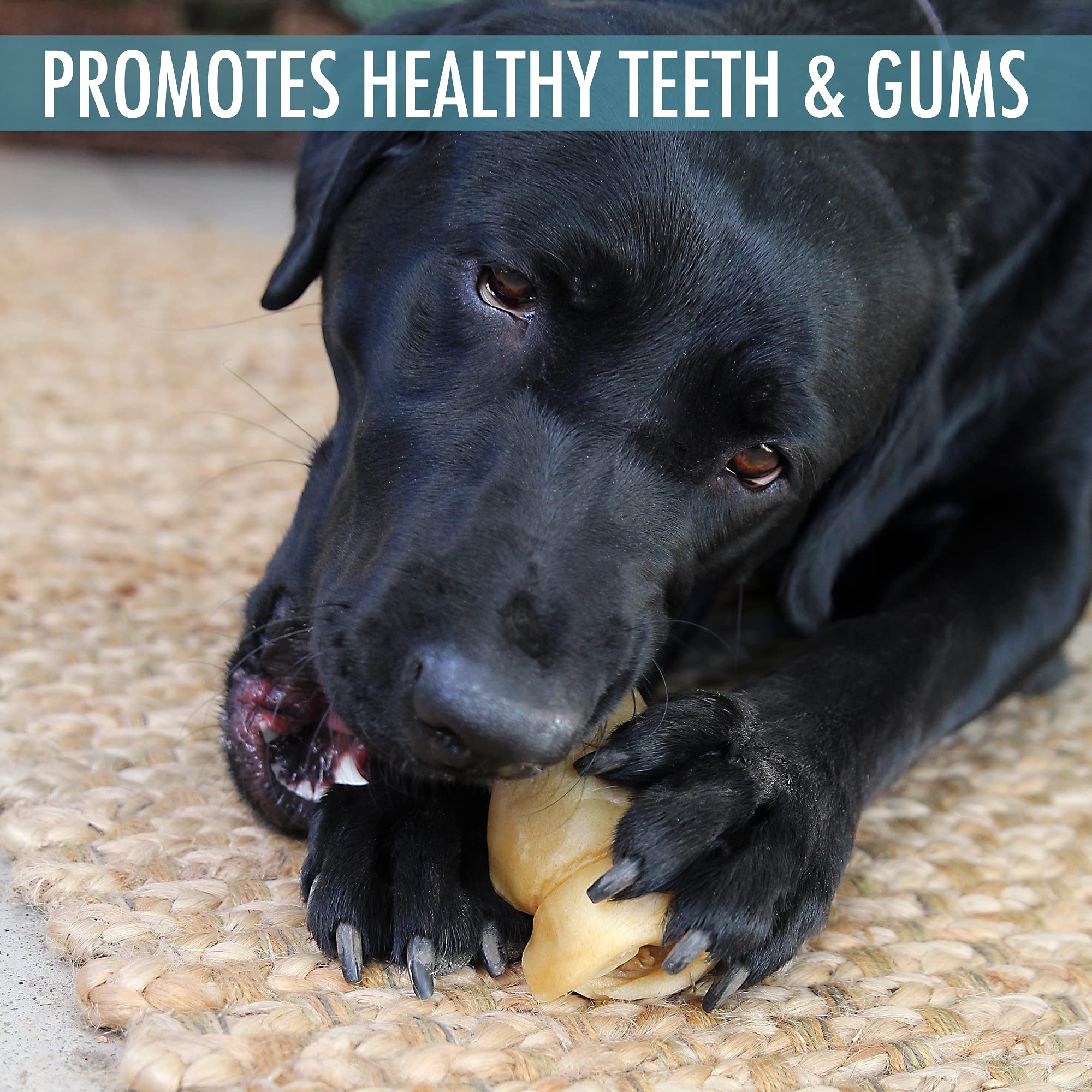 Wild Eats Water Buffalo Cheek Roll Dog Chews, 5 Pack - Long Lasting Treats for Medium Dogs, Ideal for Aggressive Chewers