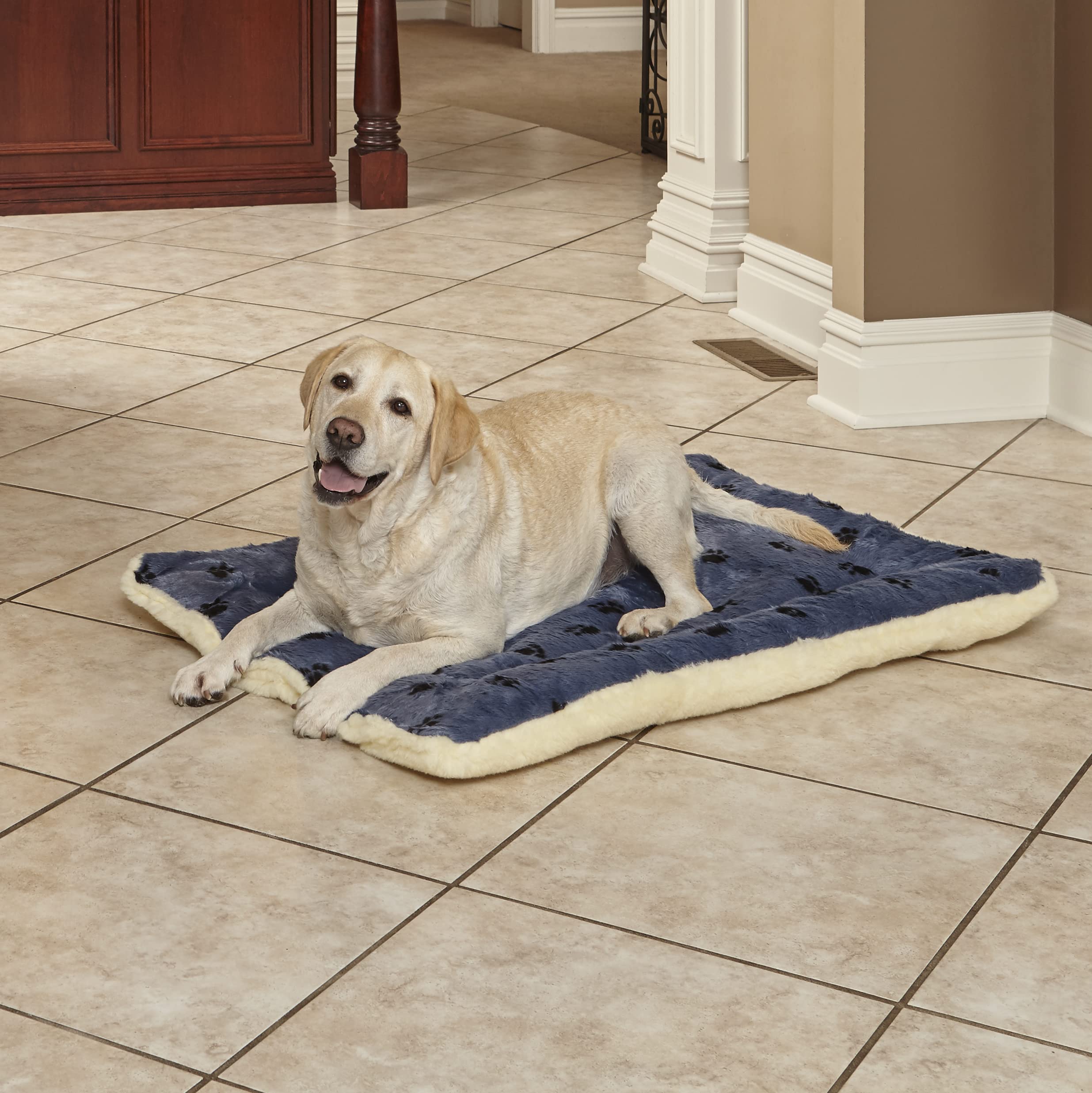 Midwest Homes For Pets Reversible Paw Print Pet Bed In Blue / White, Dog Bed Measures 40L X 26W X 3.5H For Large Dogs, Machine W