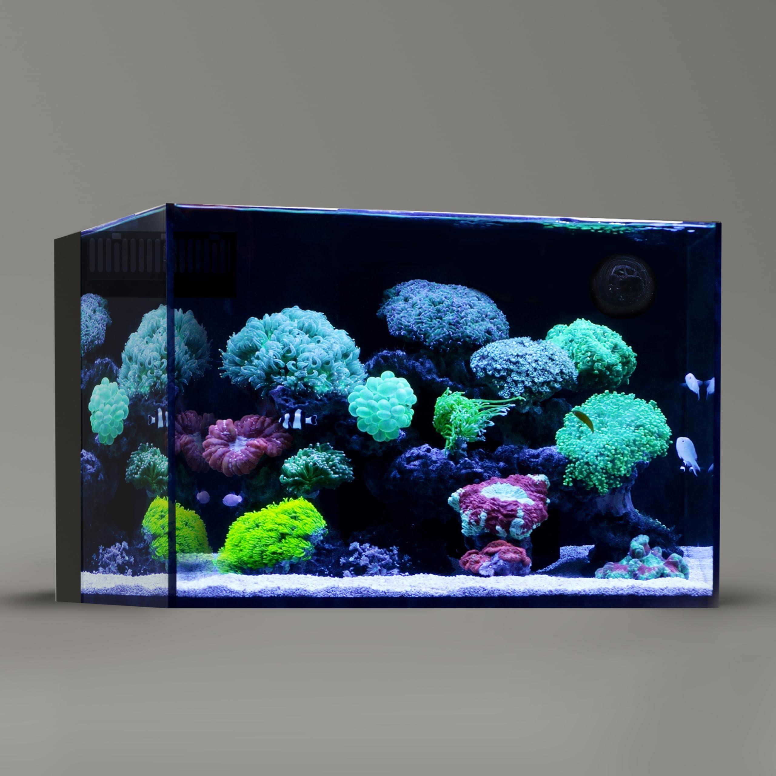Landen 60P 26.23 Gallon Ultra Clear All Glass Rimless Low Iron Aquarium Tank With Rear Filtration Chamber For Salt And Fresh (Re