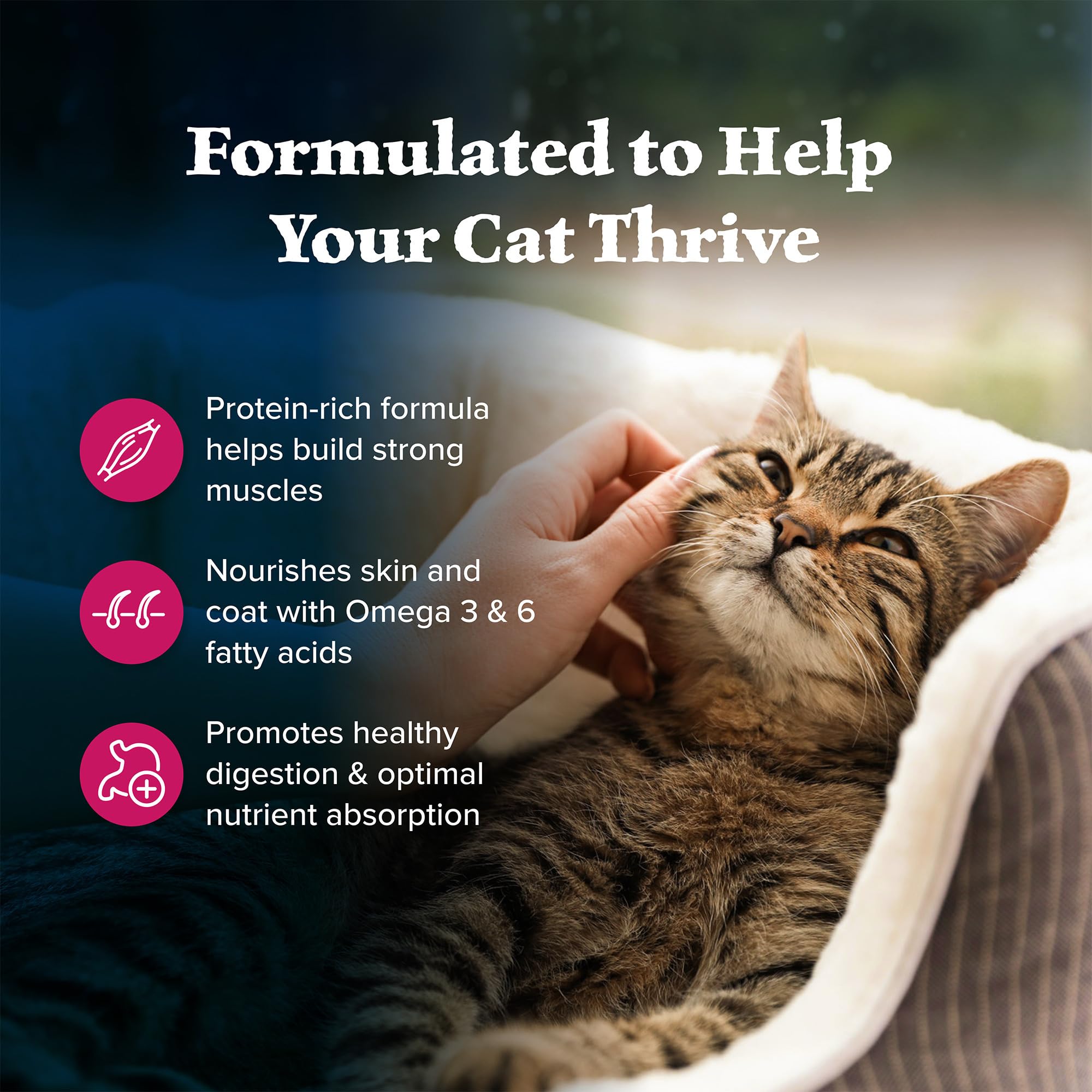 Blue Buffalo Wilderness Natural Adult Dry Cat Food, High-Protein and Grain-Free Diet, Supports Healthy Muscle Development and a