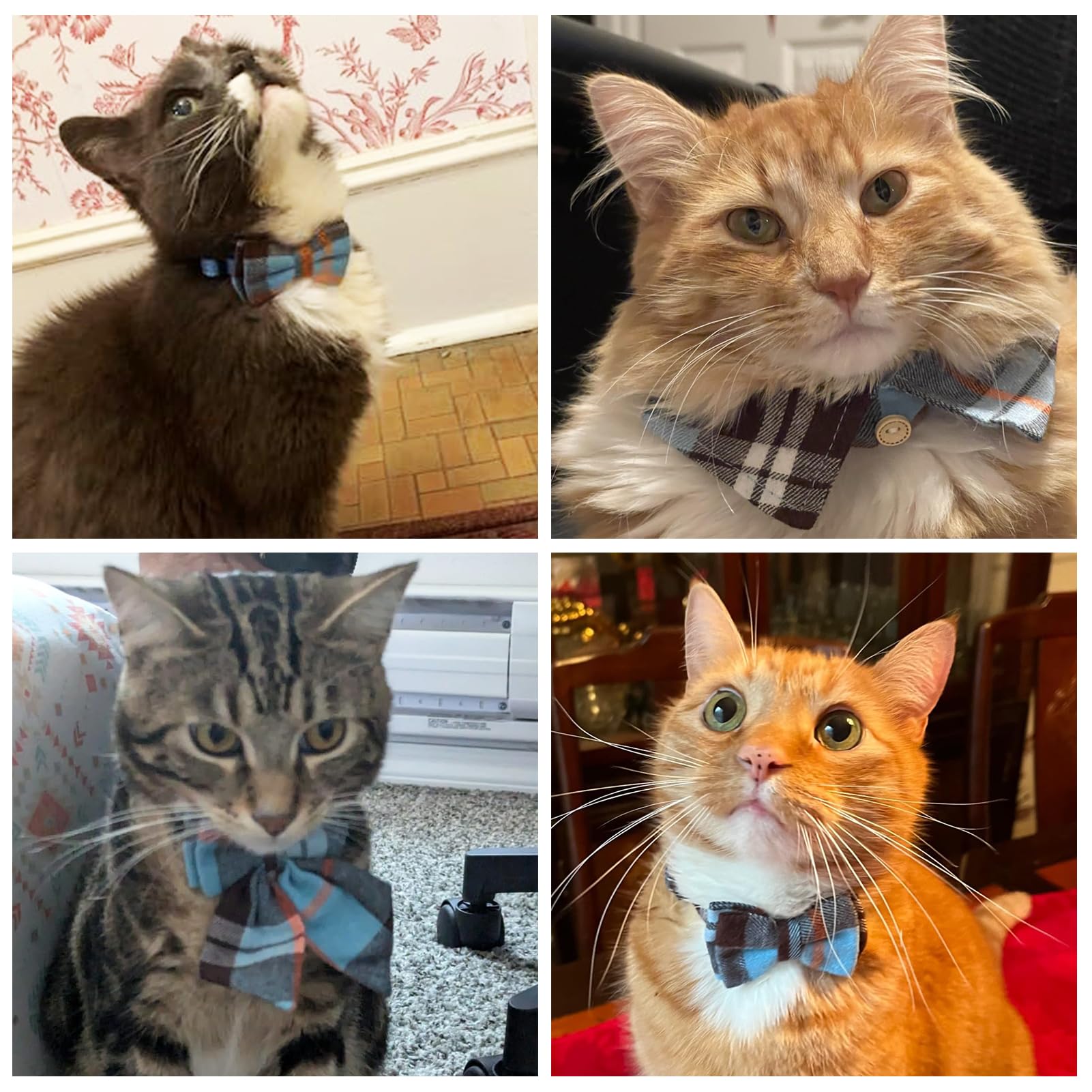 Dillybud Cat Collar With Bells Breakaway, Bowtie Cat Collar For Boy Girl Cats With Removable Bow Tie Collar, Cute Plaid Kitten C
