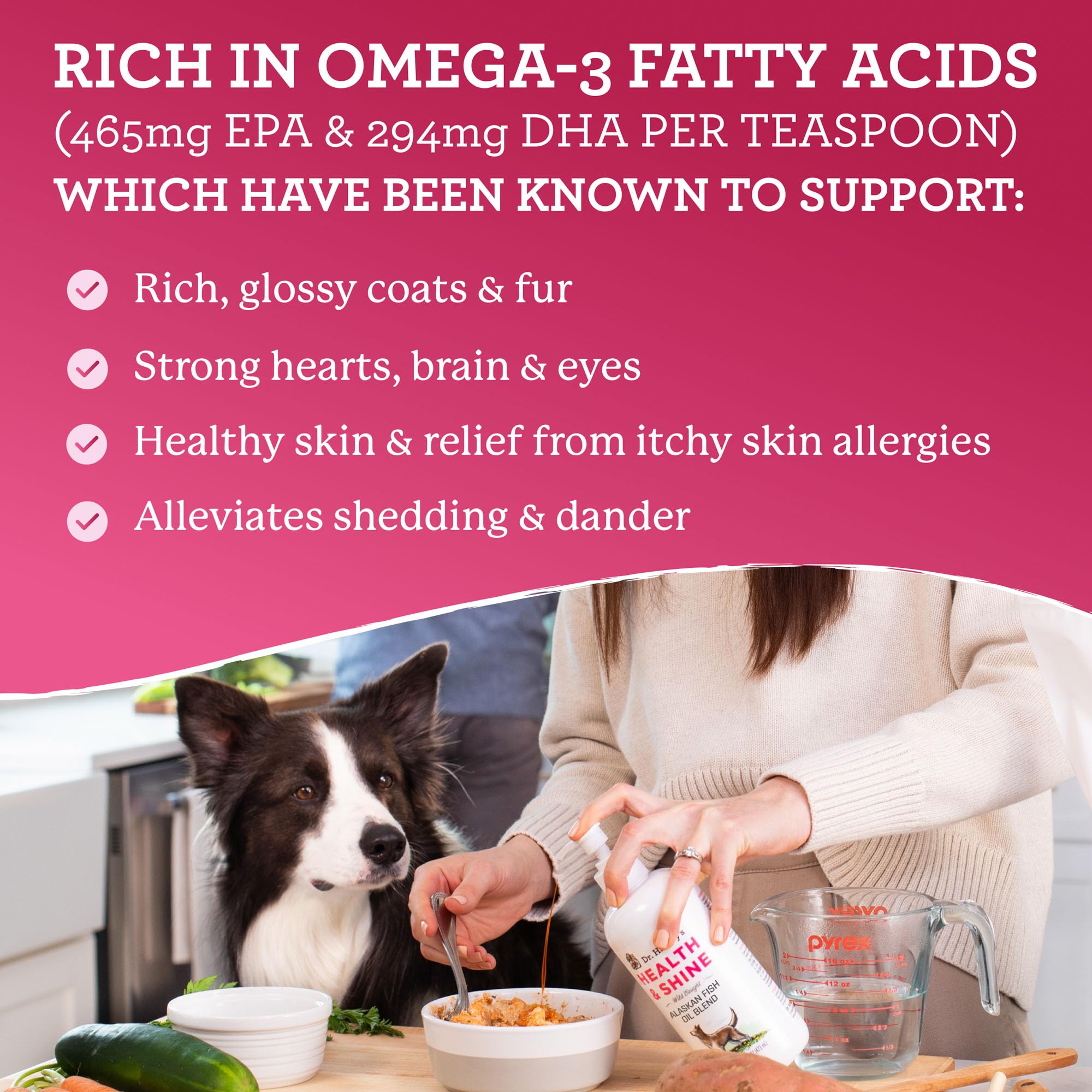 Dr. Harveys Health & Shine Alaskan Fish Oil Blend for Dogs - Supports Healthy Heart, Brain, and Eyes (16 fl. oz.)