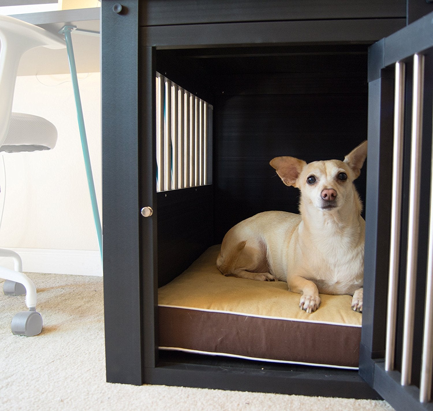 New Age Pet Large Dog Bed Cushion with Removable Cover, 21.3 in L x 33.1 in W x 3.5 in Thick Cotton