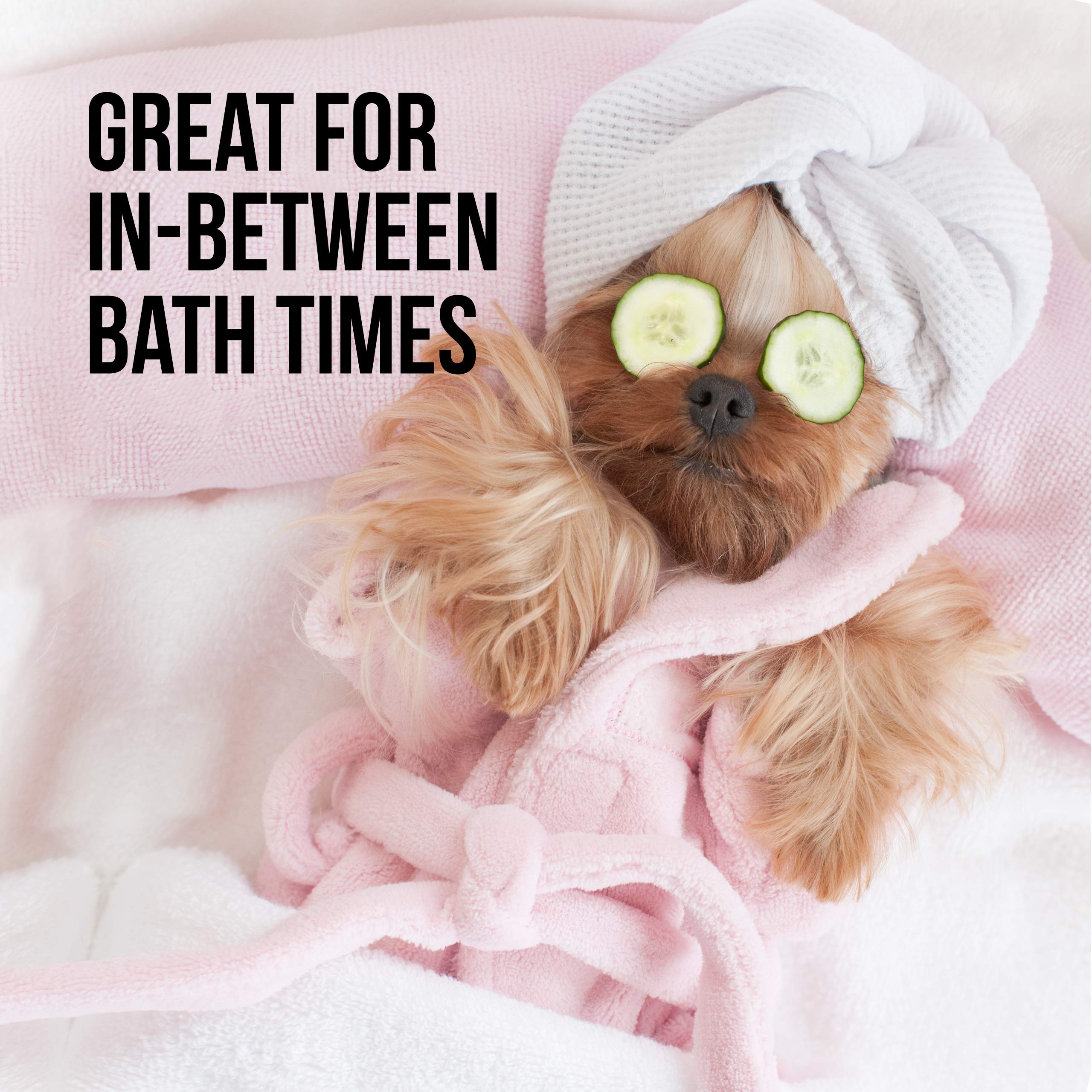 Natural Rapport Dog Deodorant Spray, The Only Between Bath Spray Dogs Need, Natural Cat And Dog Perfume Spray Eliminates Smelly Odours Between Baths (Female)