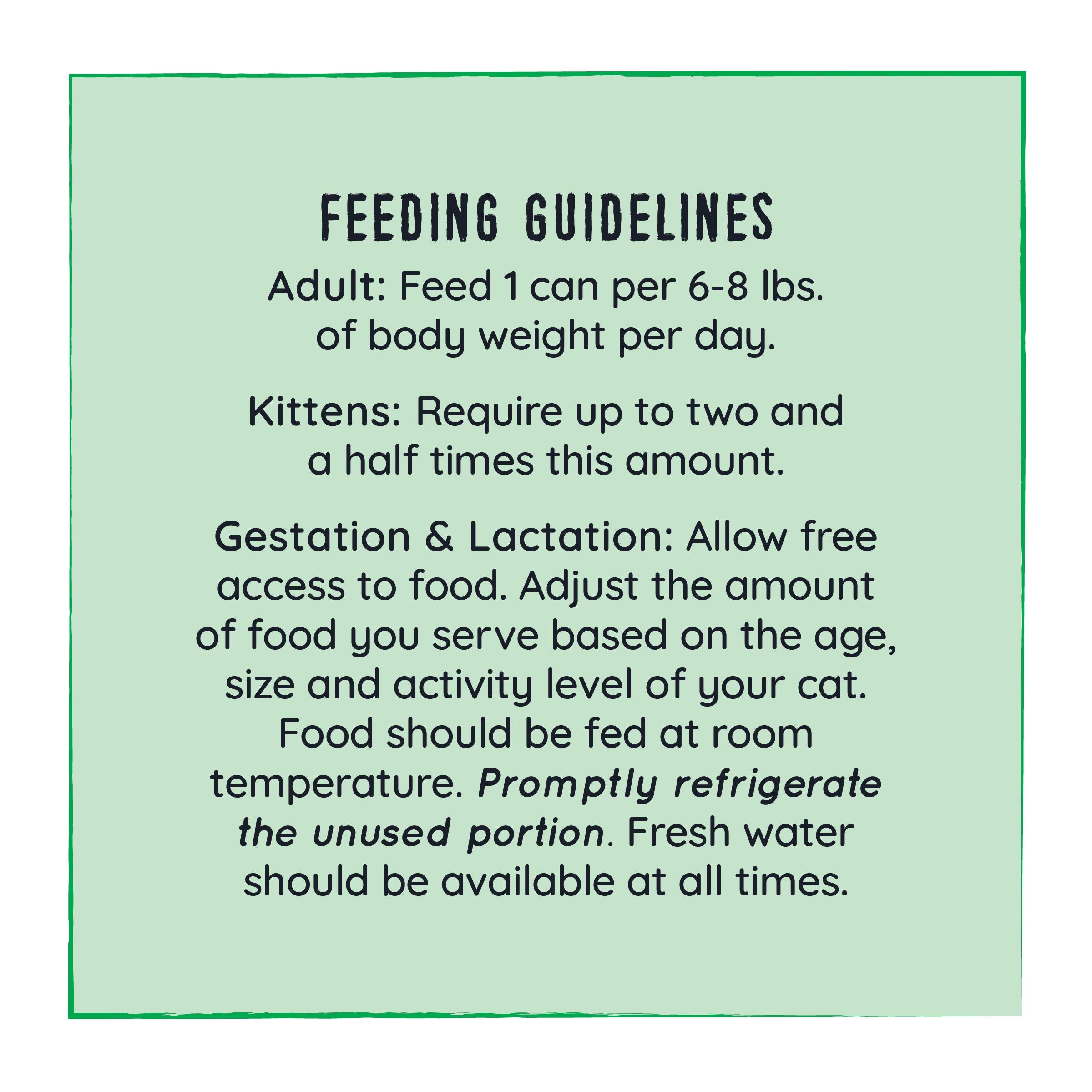 Hound & Gatos Wet Cat Food, 98% Duck & Liver, Grain Free Pate Cat Food, Real Meat, High Protein, Limited Ingredients, No Additiv