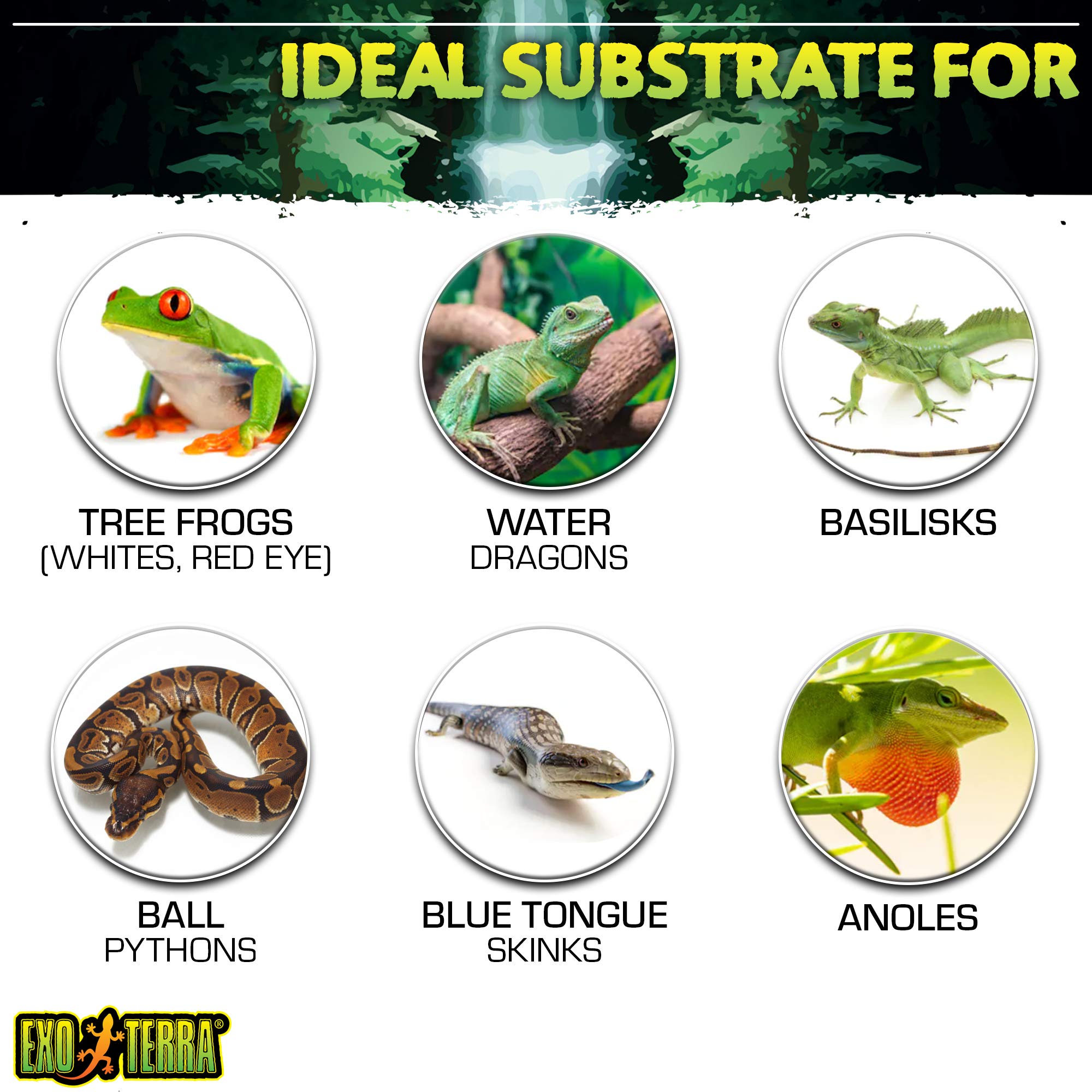 Exo Terra Coco Husk Terrarium Substrate [Set Of 3] Size: 7.2 Quarts