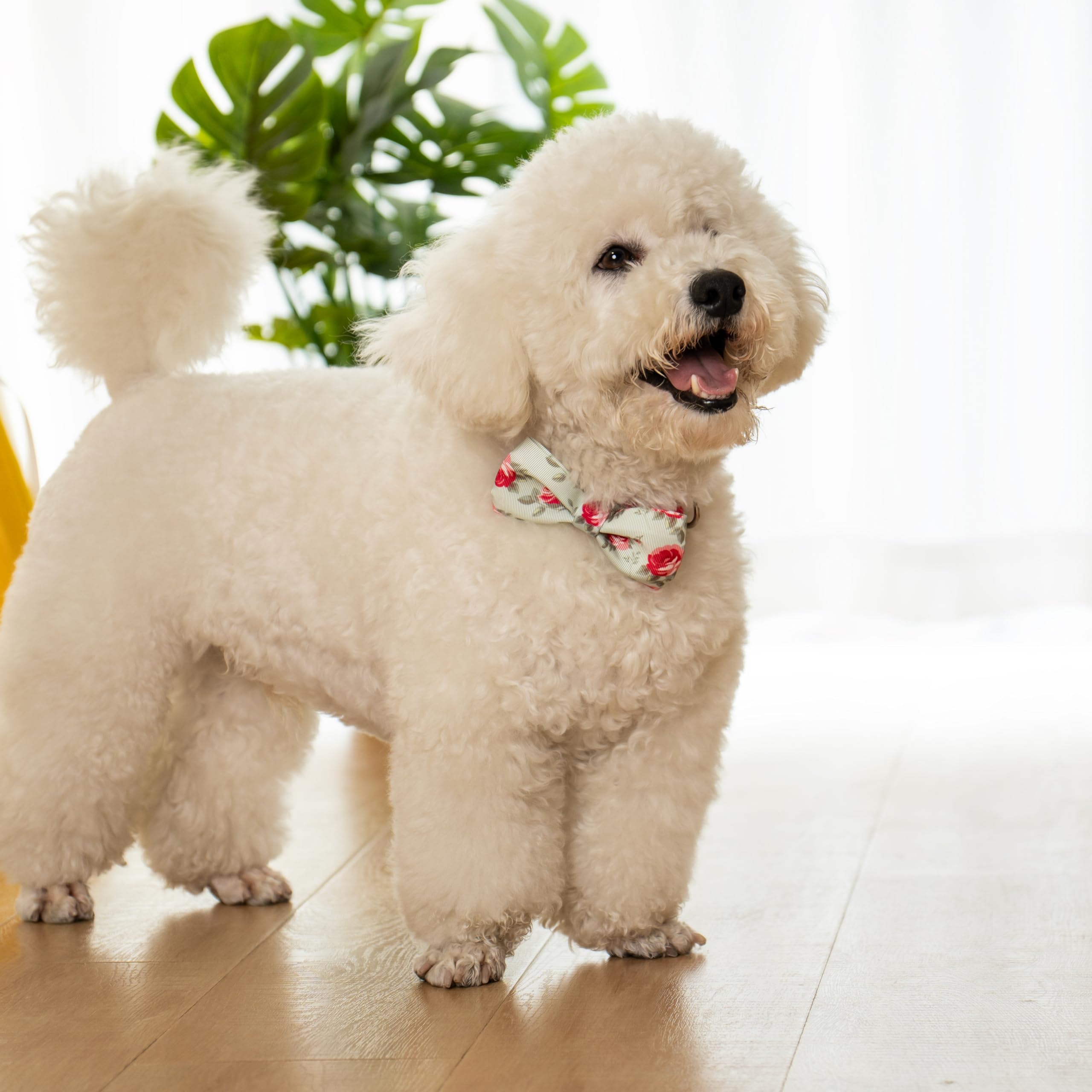 Azuza Dog Collar With Bow Tie, Soft And Comfortable Adjustable Bowtie Dog Collar For Large Dogs (L, Camellia Flower)