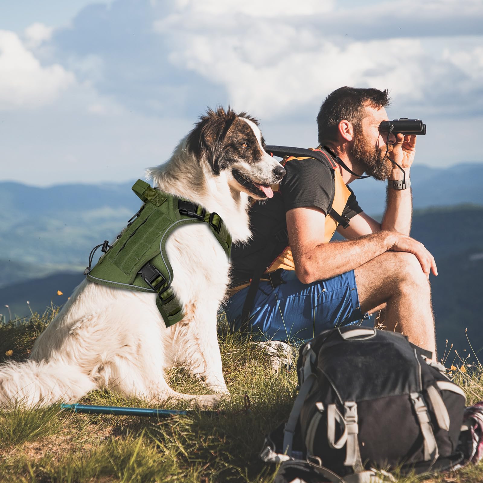 Wingoin Green Harness With Handle Tactical Dog Harness For Large Dogs No Pull Adjustable Reflective K9 Military Dog Vest Harnesses With Easy Control Handle And Hook & Loop Pa(Xl)