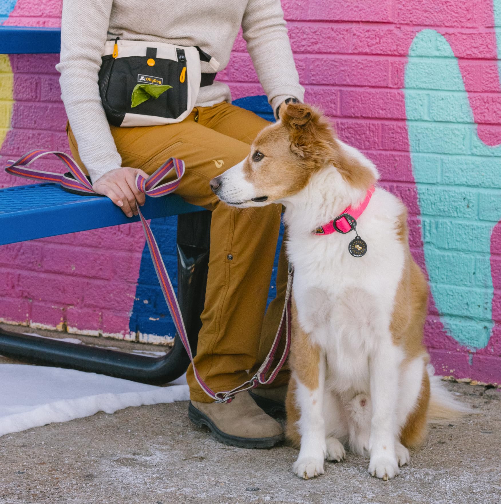 Ollydog Tilden Collar, Waterproof Dog Collar With Quick Release Buckle, Coated Stink-Proof Webbing, Lightweight Collar For Large, Medium And Small Dogs (Medium, Pink)