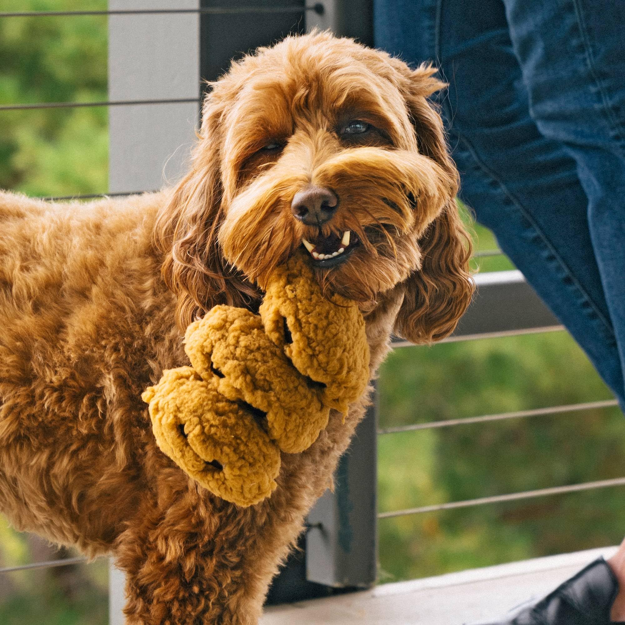 P.L.A.Y. Cute Plush Dog Toys - Coffee Shop Food Themed Durable Squeaker Chew Toy, Great for Puppies & Small, Medium, Large Dogs