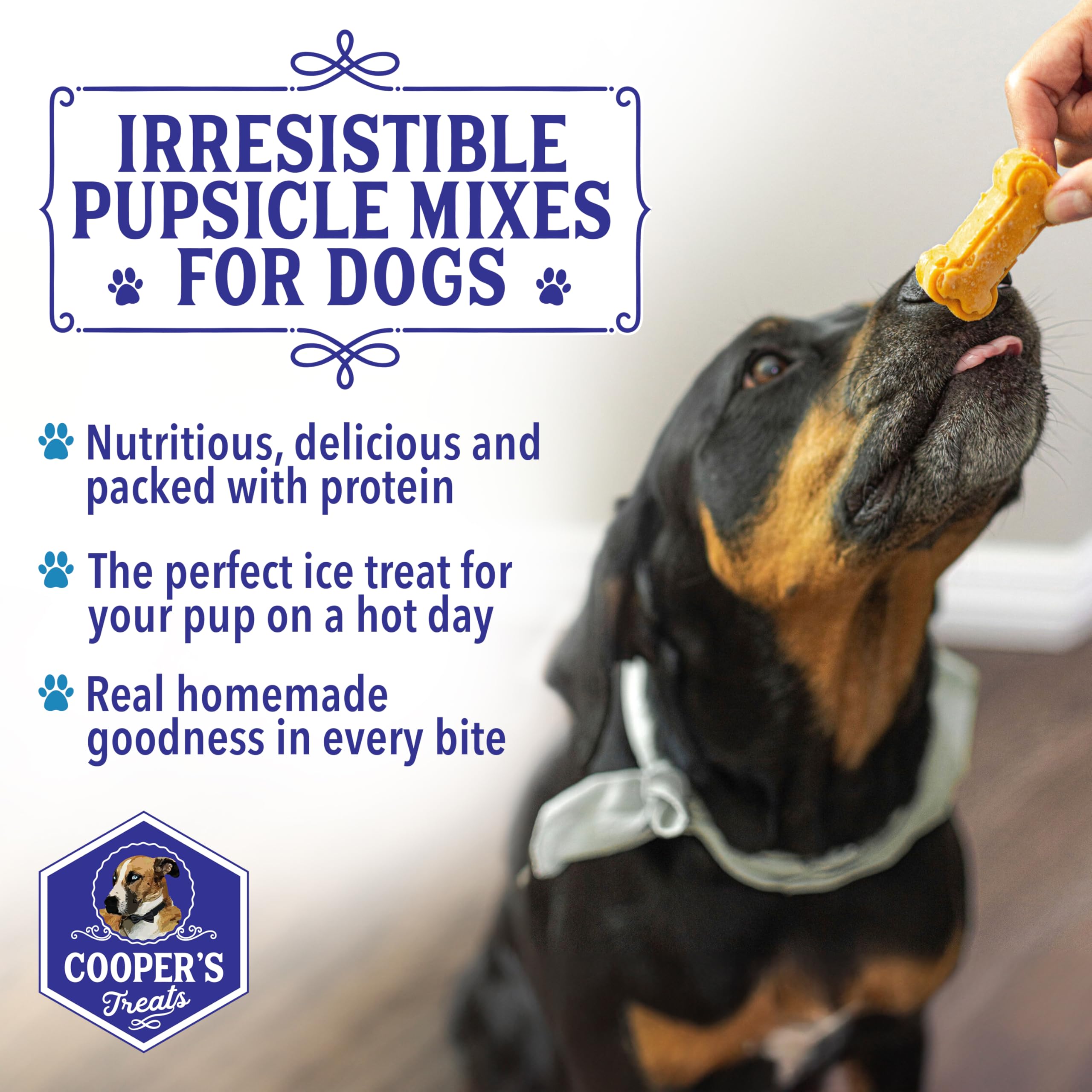 Cooper's Treats Pupsicle Mix - Make Your Own Dog Treats - 4.3oz Beef & Cheddar, Pup Ice Cream Kit