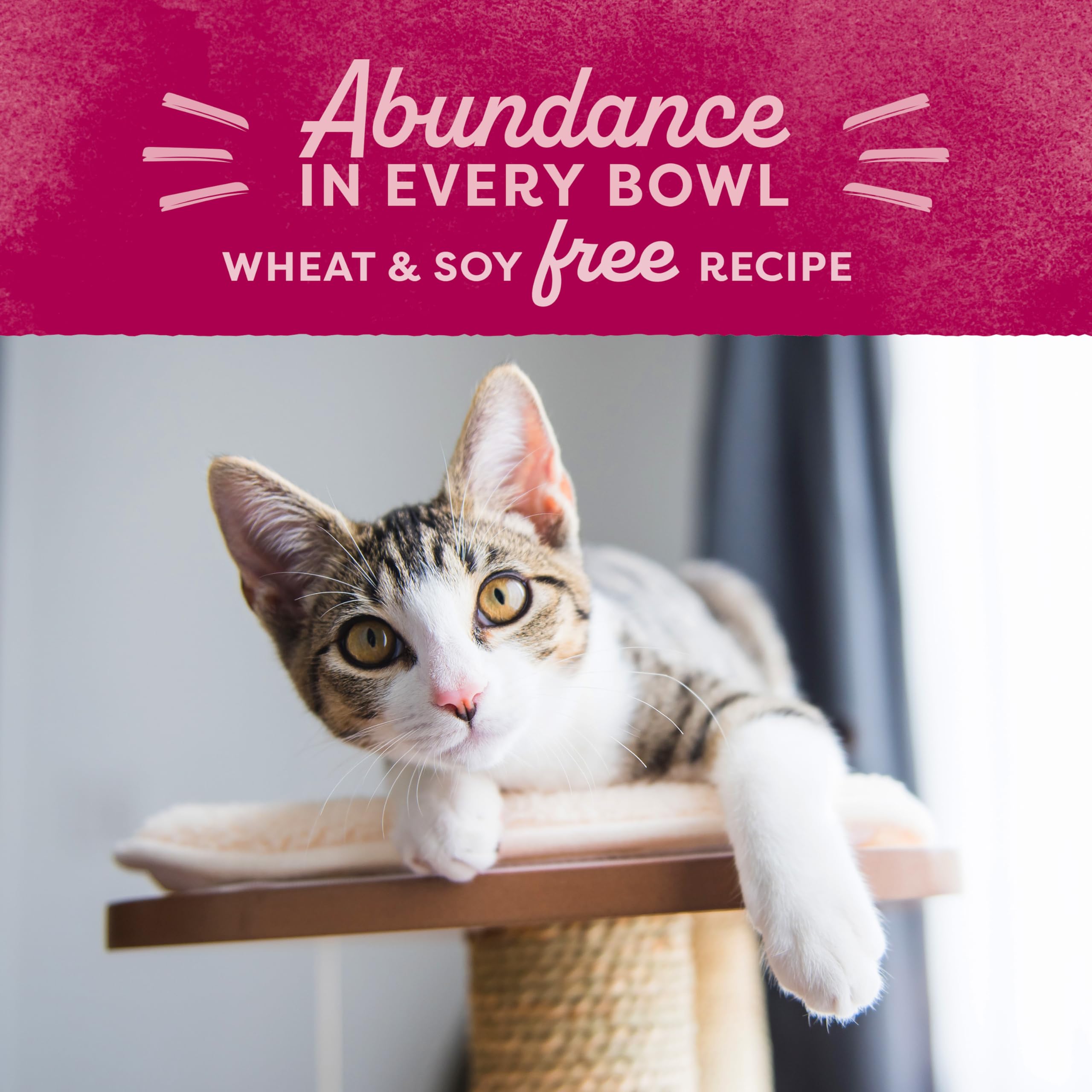 Natural Balance Original Ultra Dry Cat Food, Chicken Meal & Salmon Meal Recipe, Whole Body Health for Kittens to Adult Cats, 6 P