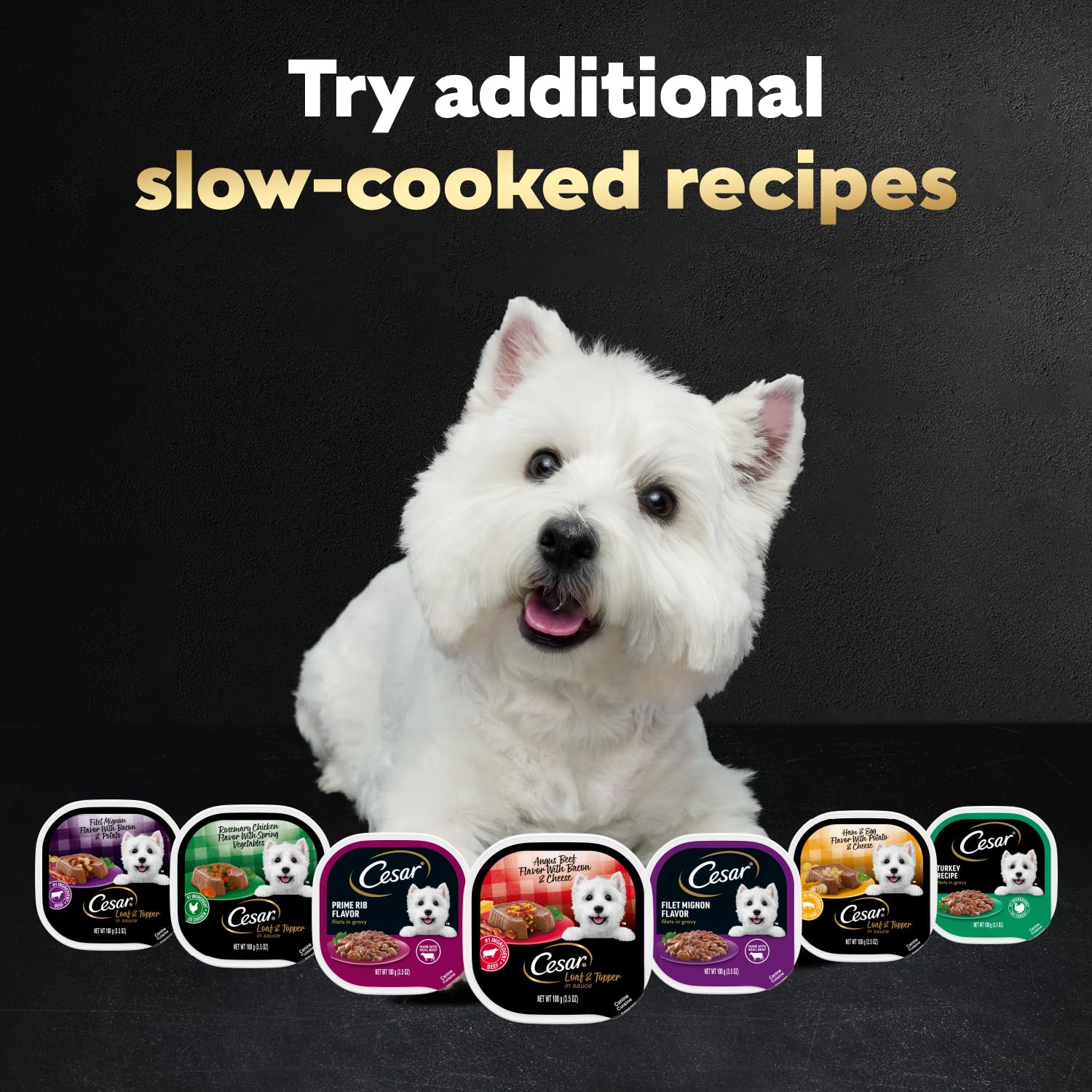 Cesar Wet Dog Food Loaf & Topper in Sauce Rotisserie Chicken Flavor with Bacon & Cheese, 3.5 oz. Easy Peel Trays (24 Count, Pack