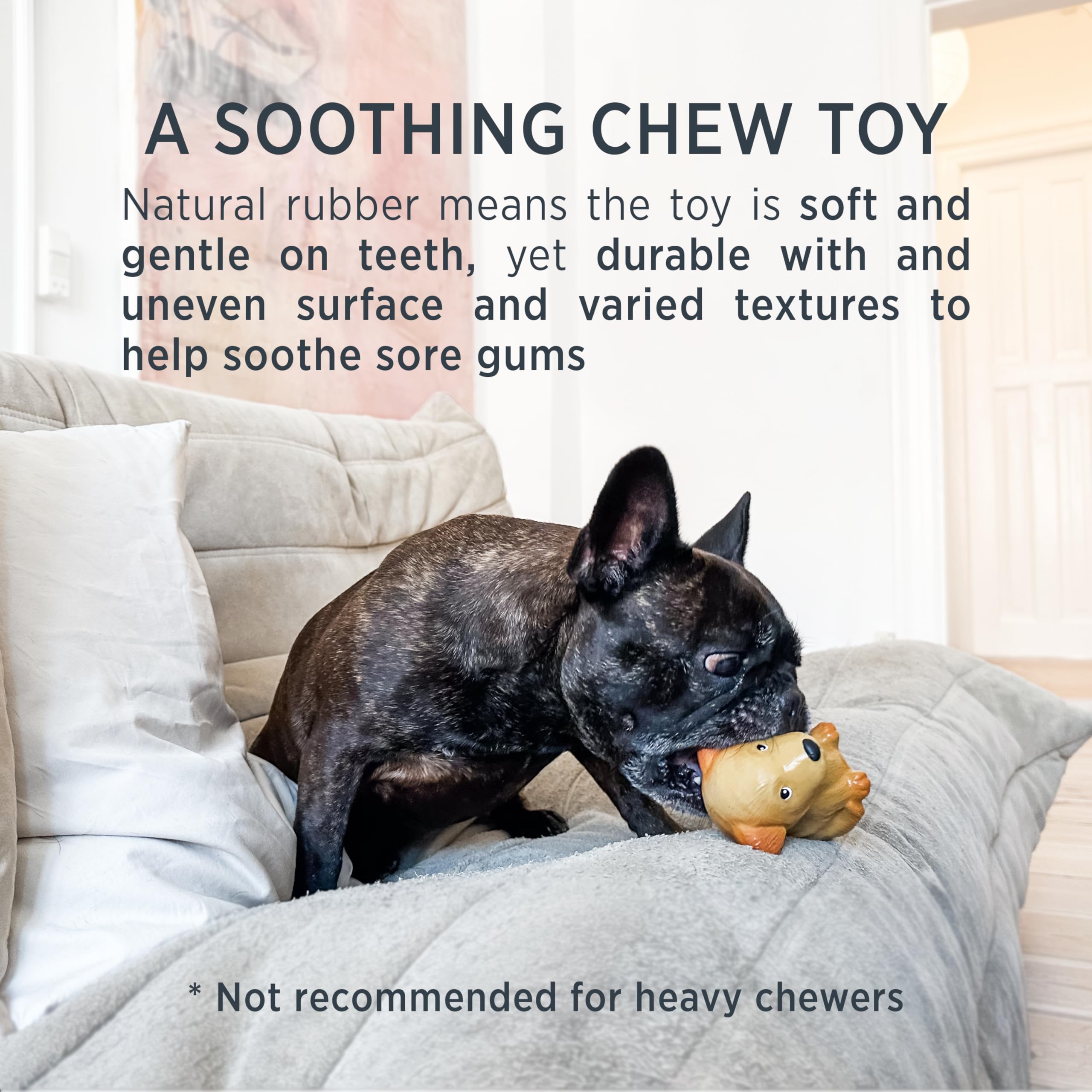 Hevea Dalmatian Breed Collection Dog Chew Toy - Natural Rubber Teething Toy For Puppies, Small, Medium And Large Dogs - Sore Gum