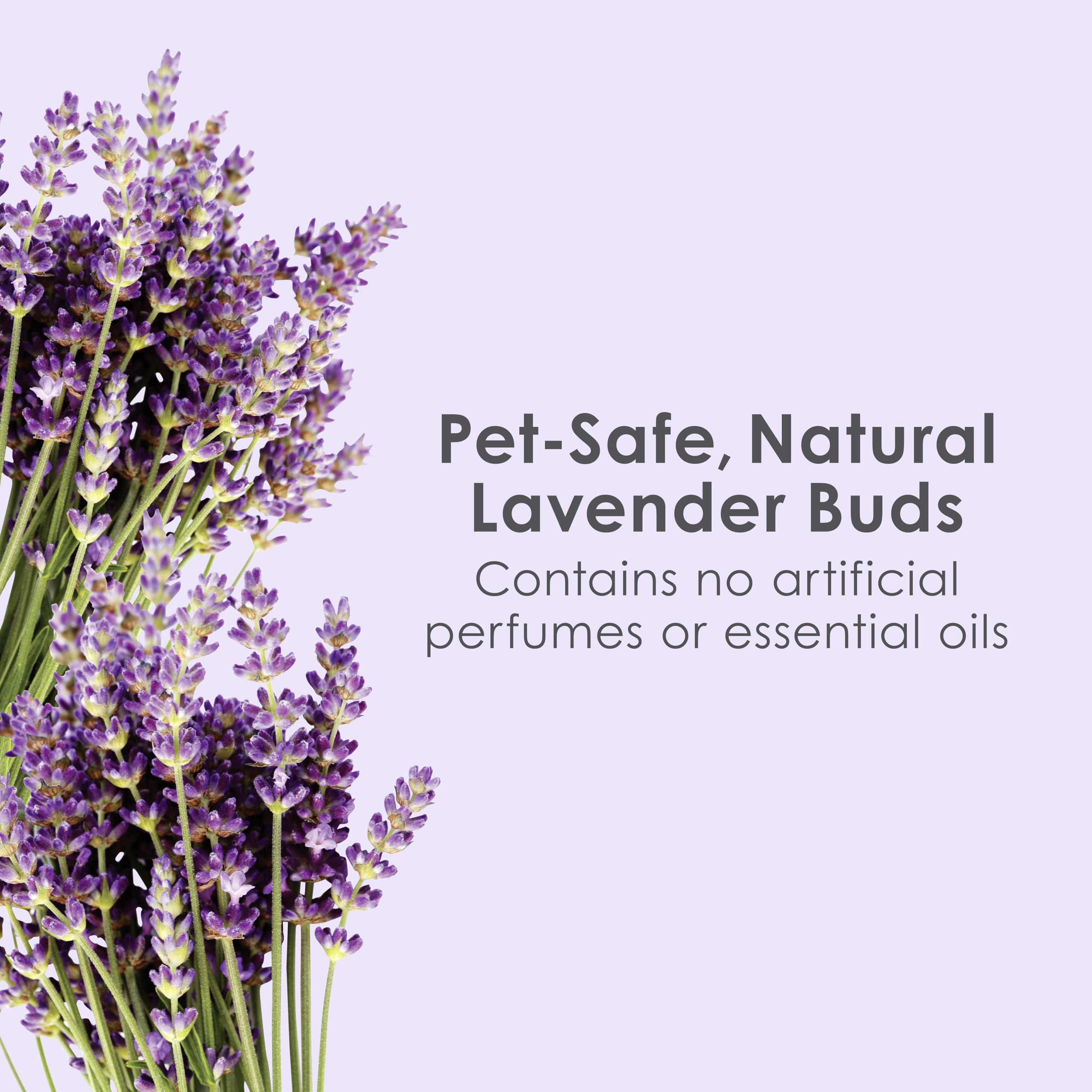 Kaytee Clean & Cozy Lavender Bedding for Pet Guinea Pigs, Rabbits, Hamsters, Gerbils, and Chinchillas, 100 Liters