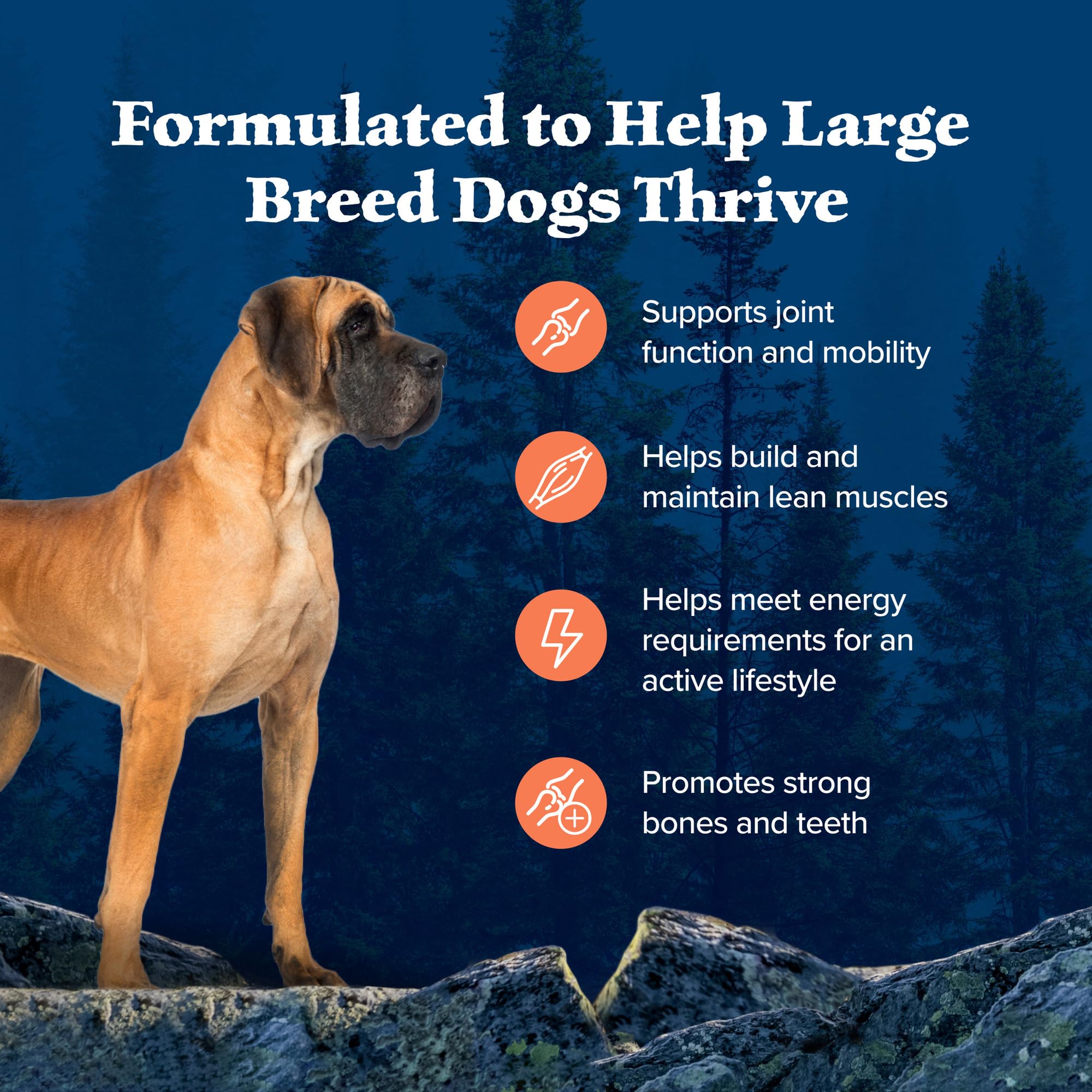 Blue Buffalo Wilderness Natural High-Protein Dry Food for Large Breed Adult Dogs, Chicken Recipe, 28-lb. Bag