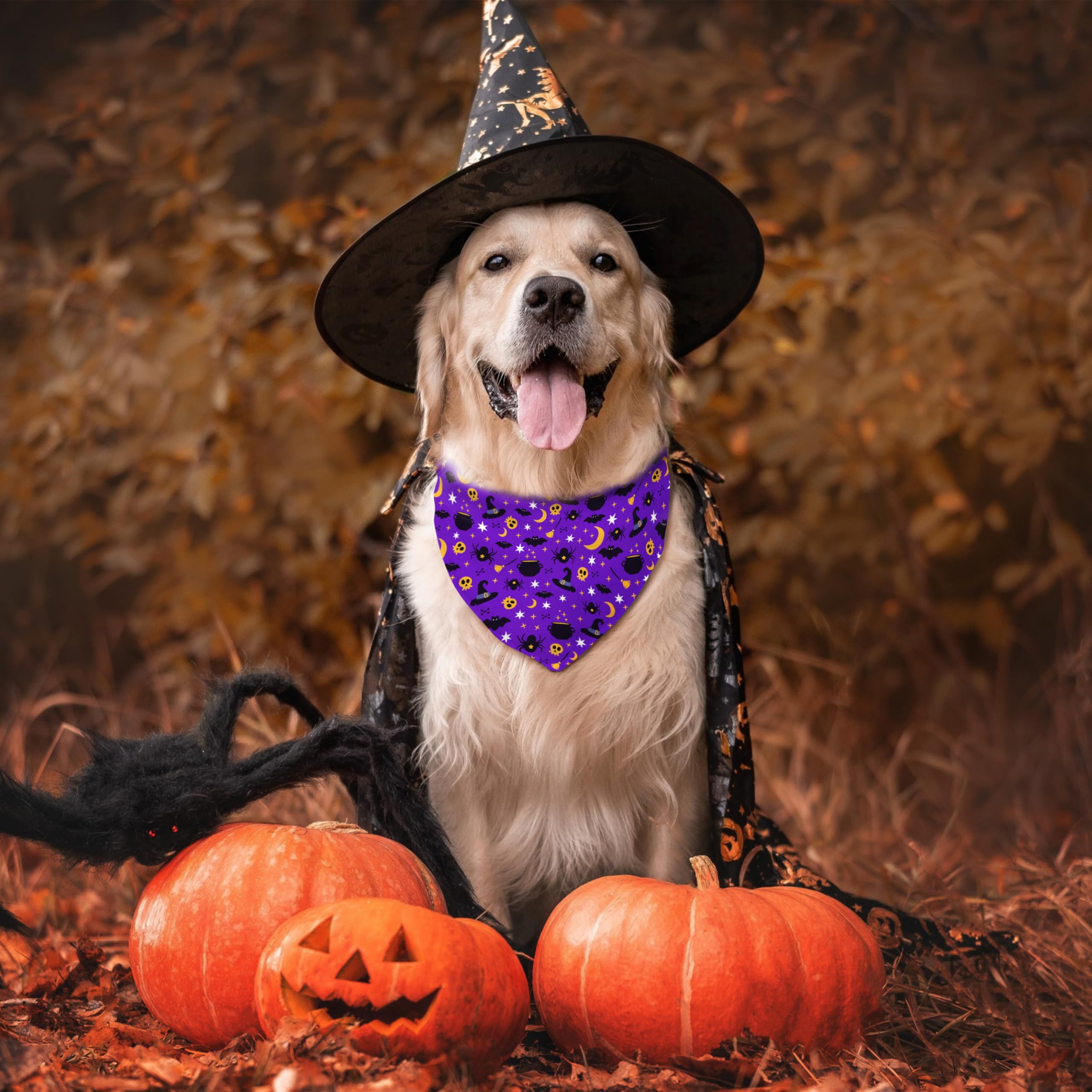 Fall Halloween Dog Bandanas Reversible 2 Pack Large, Orange Black Spider Web Ghost Cute Halloween Pet Bandanas For Dogs Adjustab