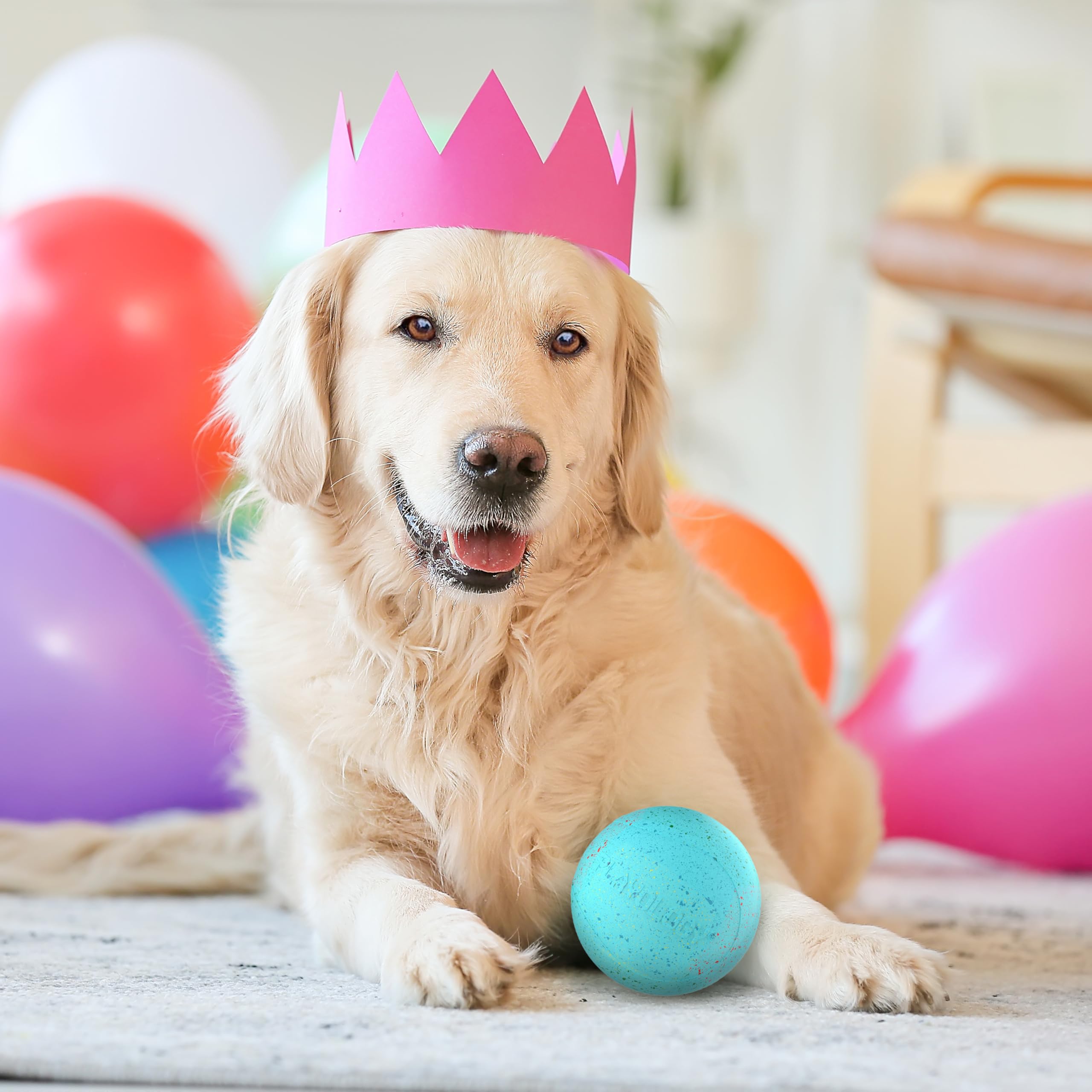 Playology Birthday Pack Dog Toys For Large Dogs | All-Natural Peanut Butter Birthday Cake Scented Gift Bundle | 1 Squeaky Chew B