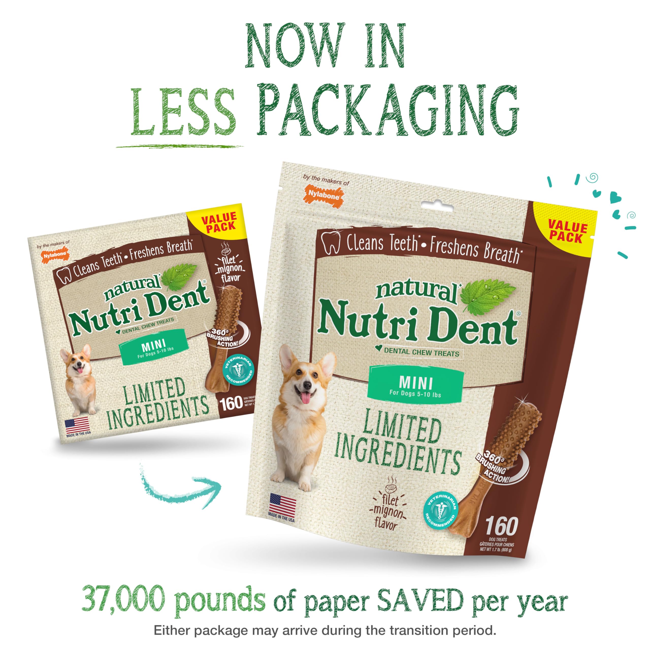 Nylabone Nutri Dent Dog Dental Chews - Natural Dog Teeth Cleaning & Breath Freshener - Dental Treats for Dogs - Filet Mignon Fla