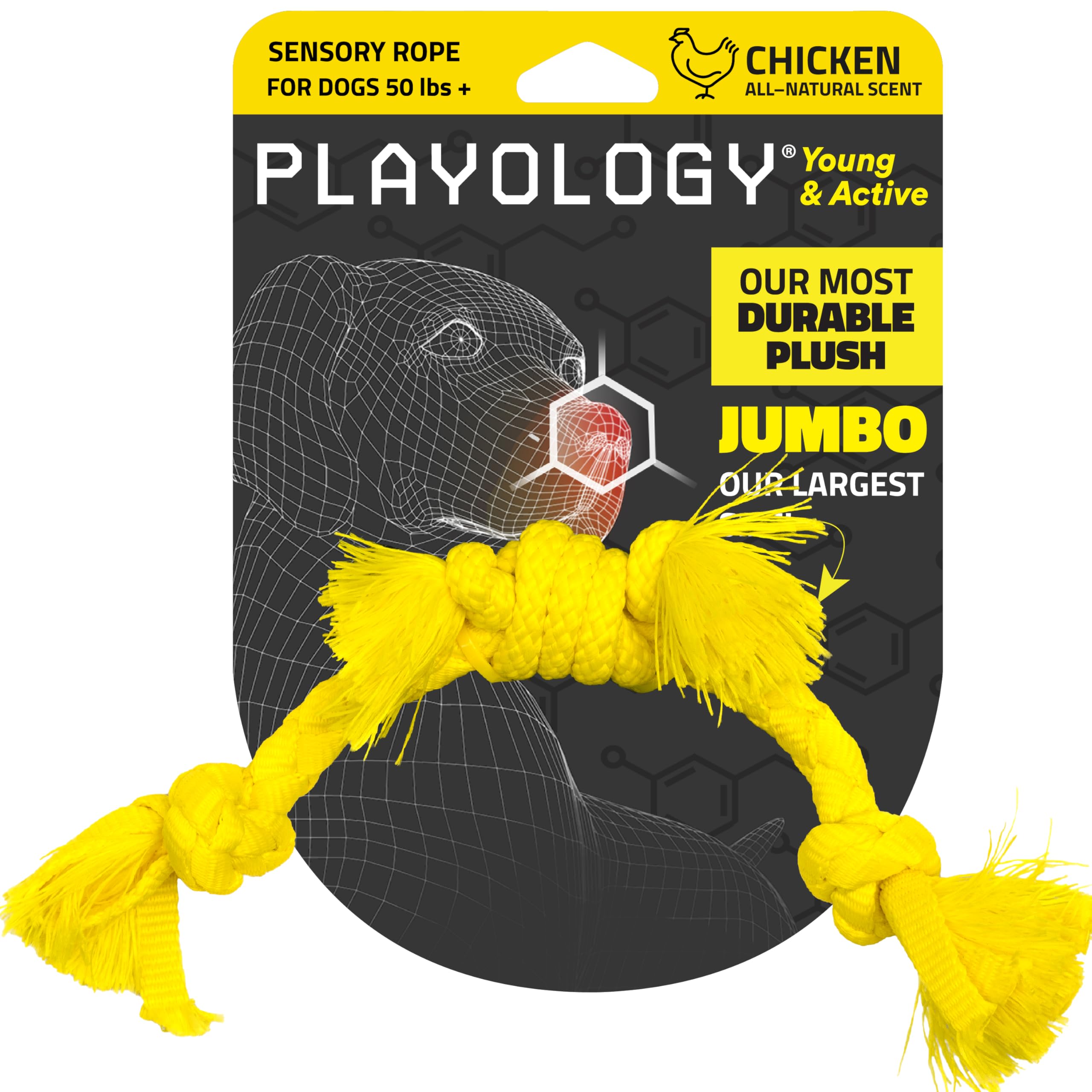 Playology Puppy Rope Dog Toy for Sensory Development | Medium Sized Interactive Tug & Chew Dog Toysfor Puppies up to 50 lbs | En