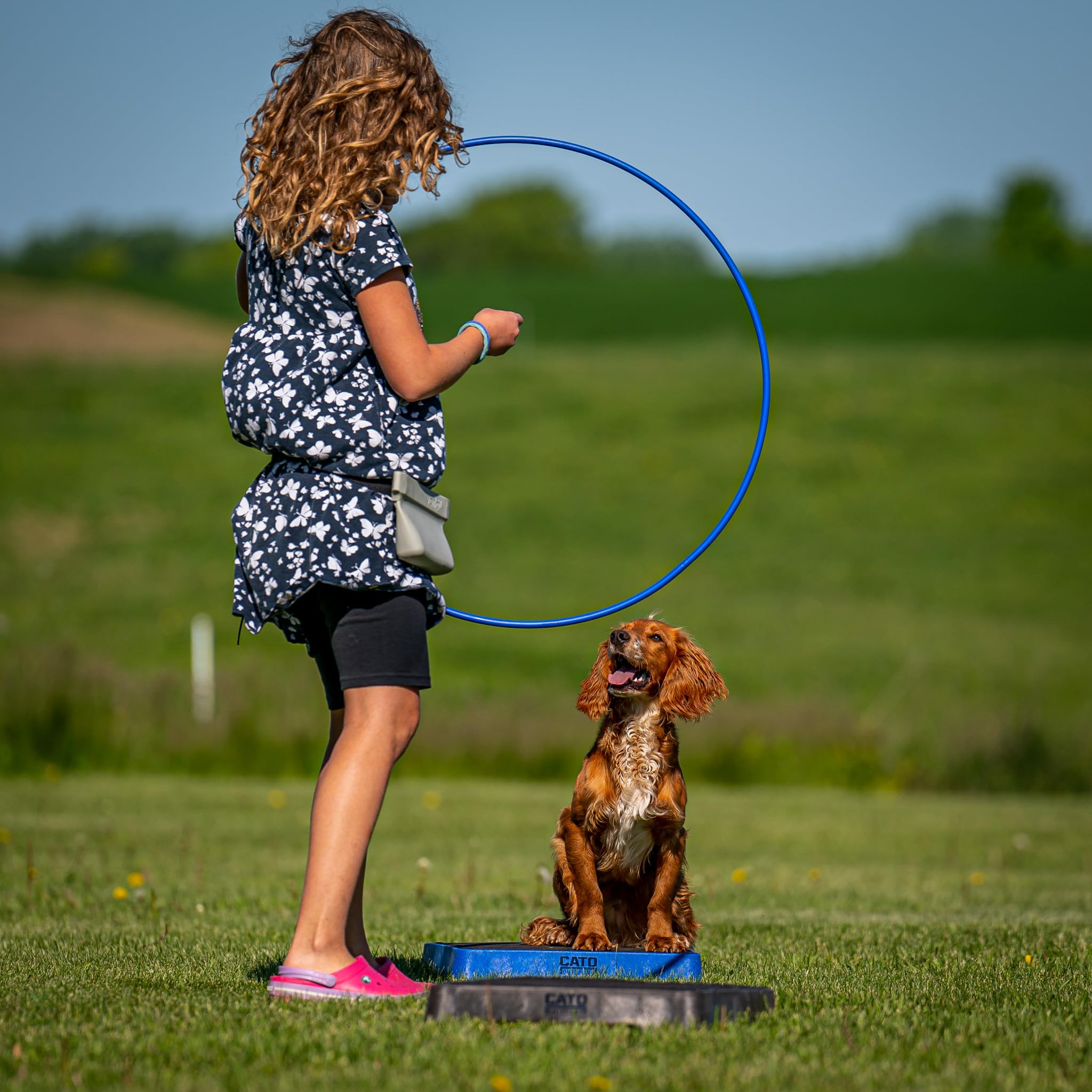 Cato Board - Dog Training Platform (Black, Turf Surface)
