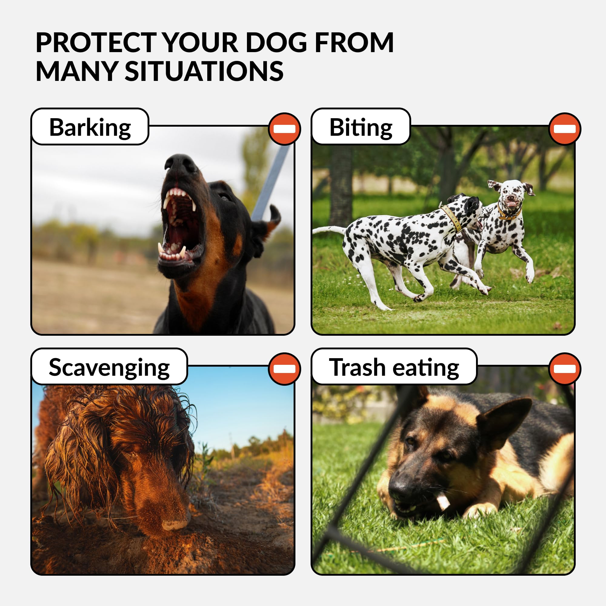 Collardirect Dog Muzzle German Shepherd Dalmatian Doberman Setter Leather Basket Medium Large Breeds Black Brown (L, Black)